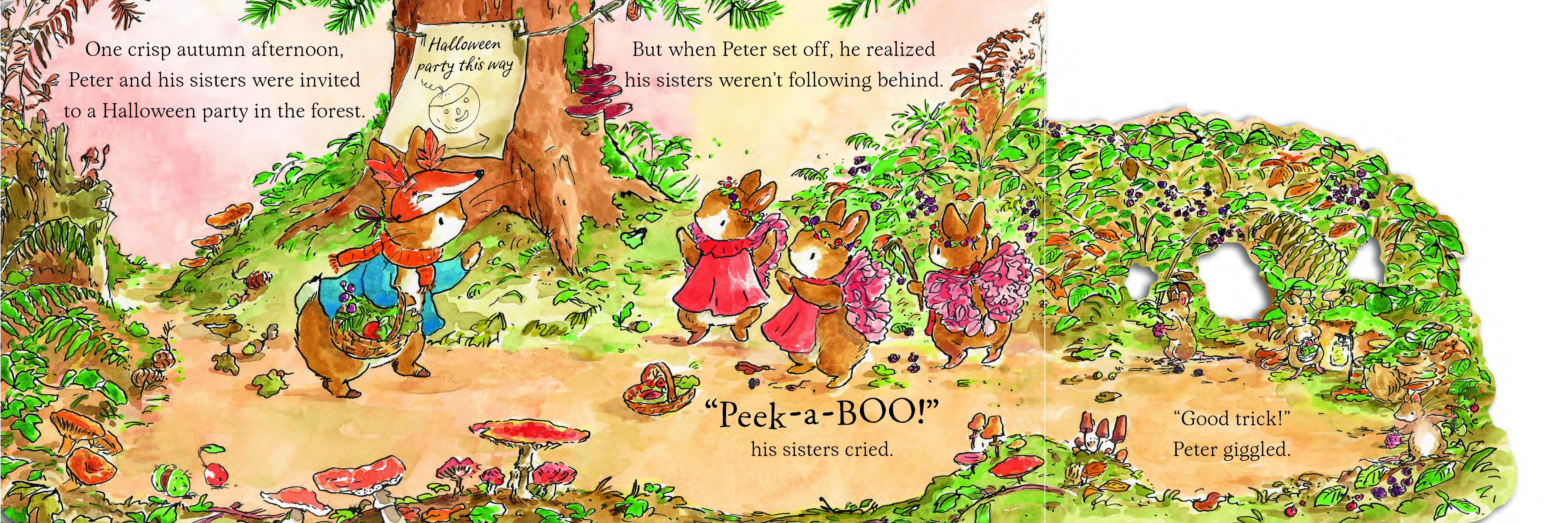 additional book photo