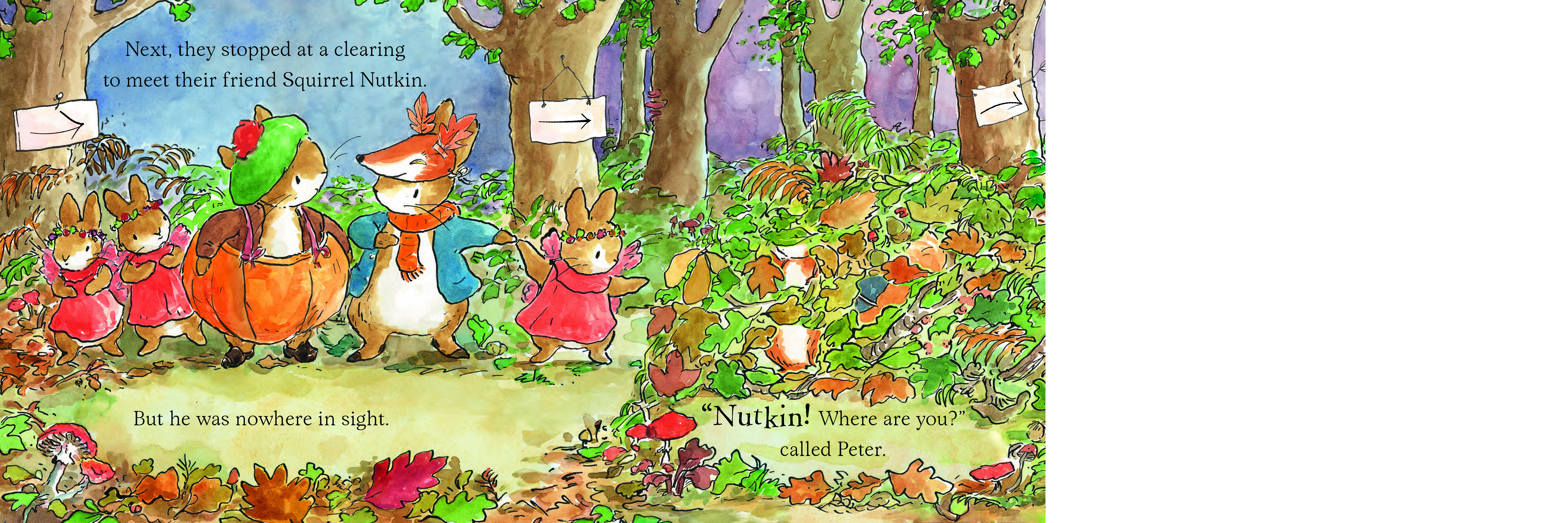 additional book photo