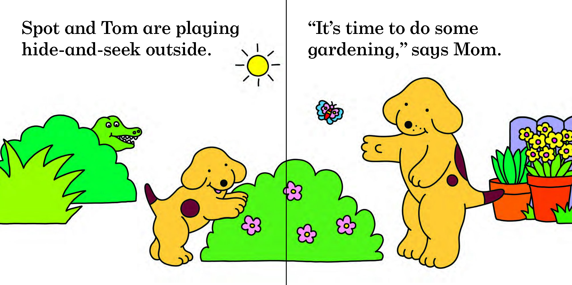 additional book photo