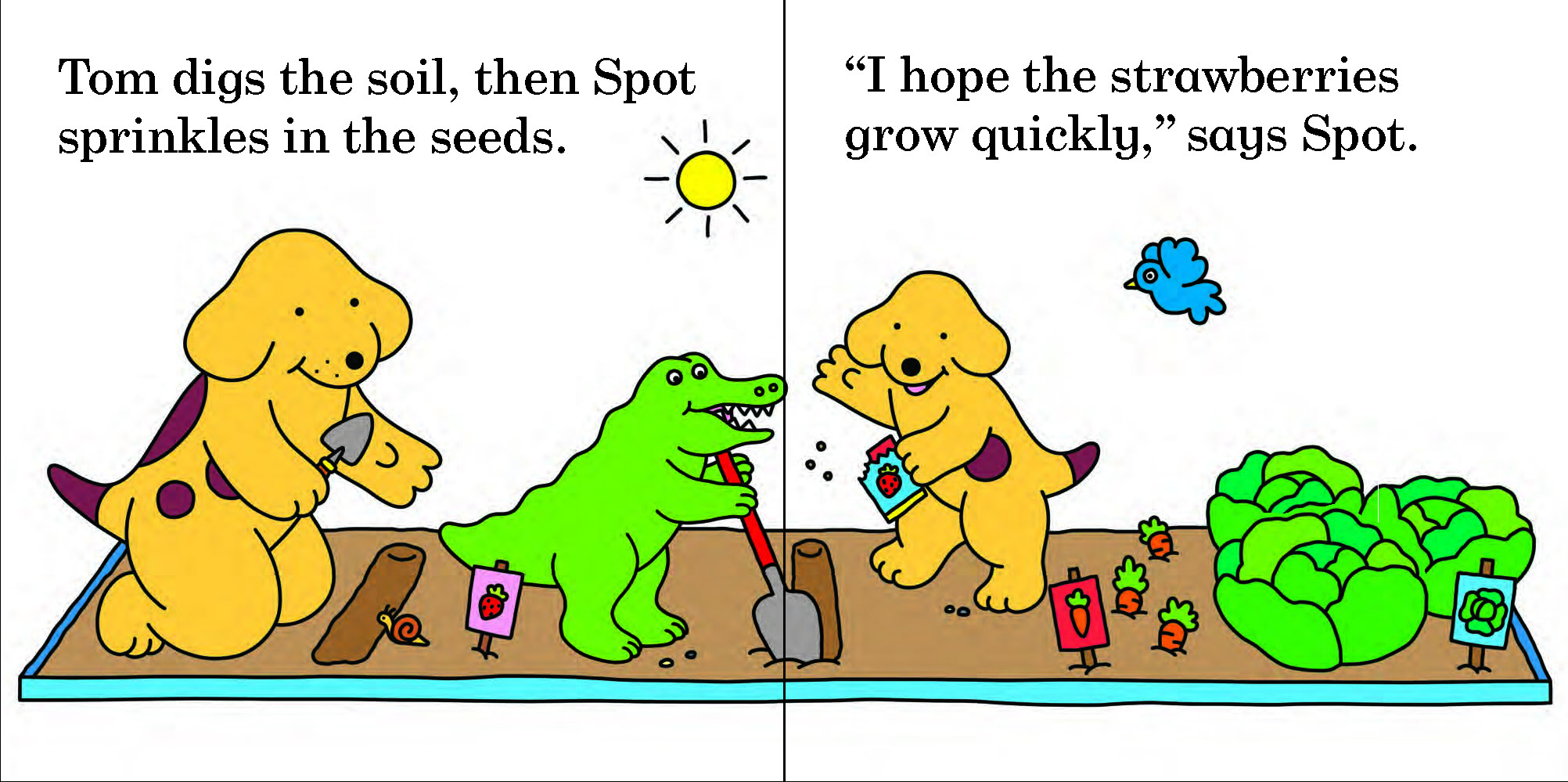 additional book photo