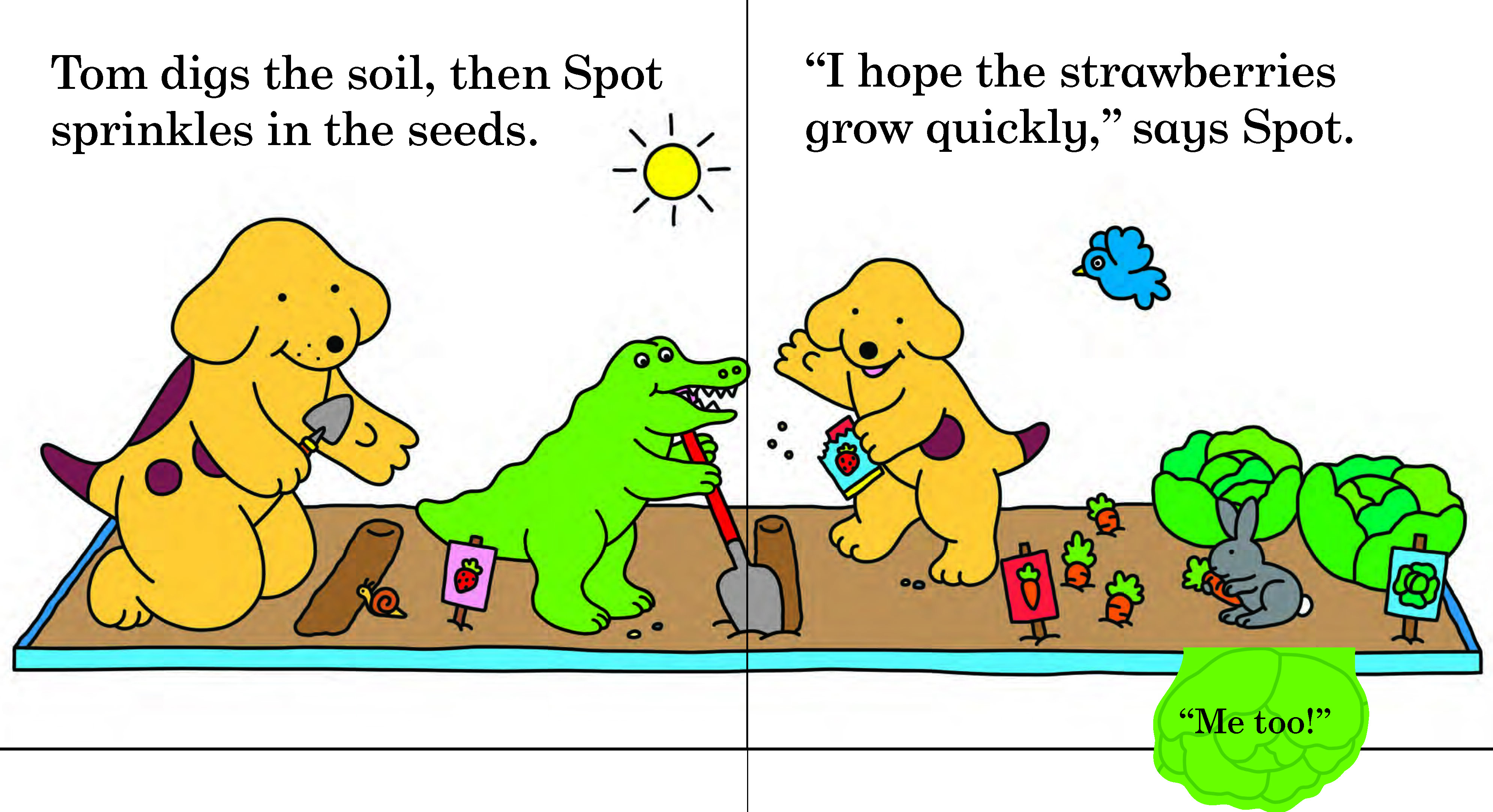 additional book photo