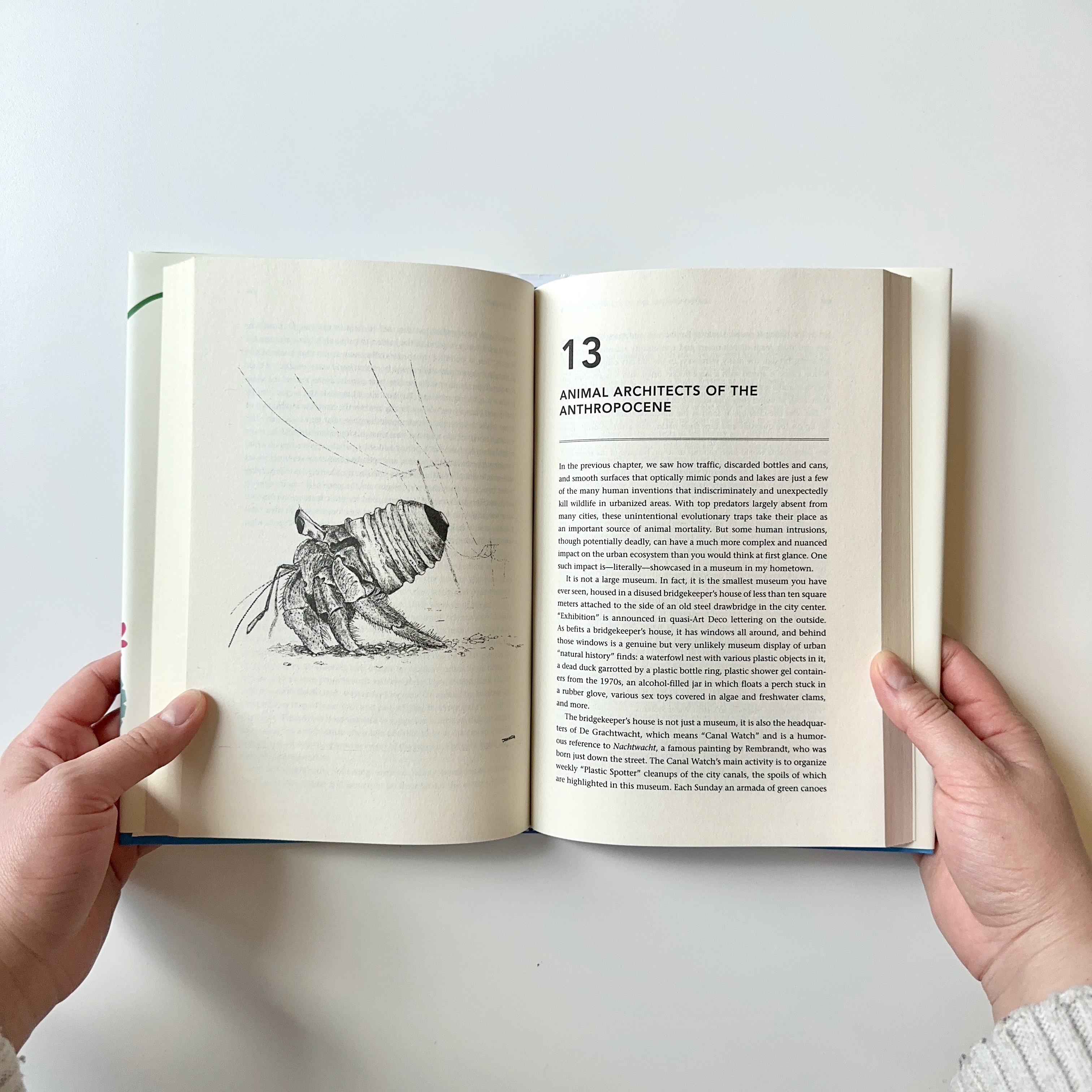 additional book photo