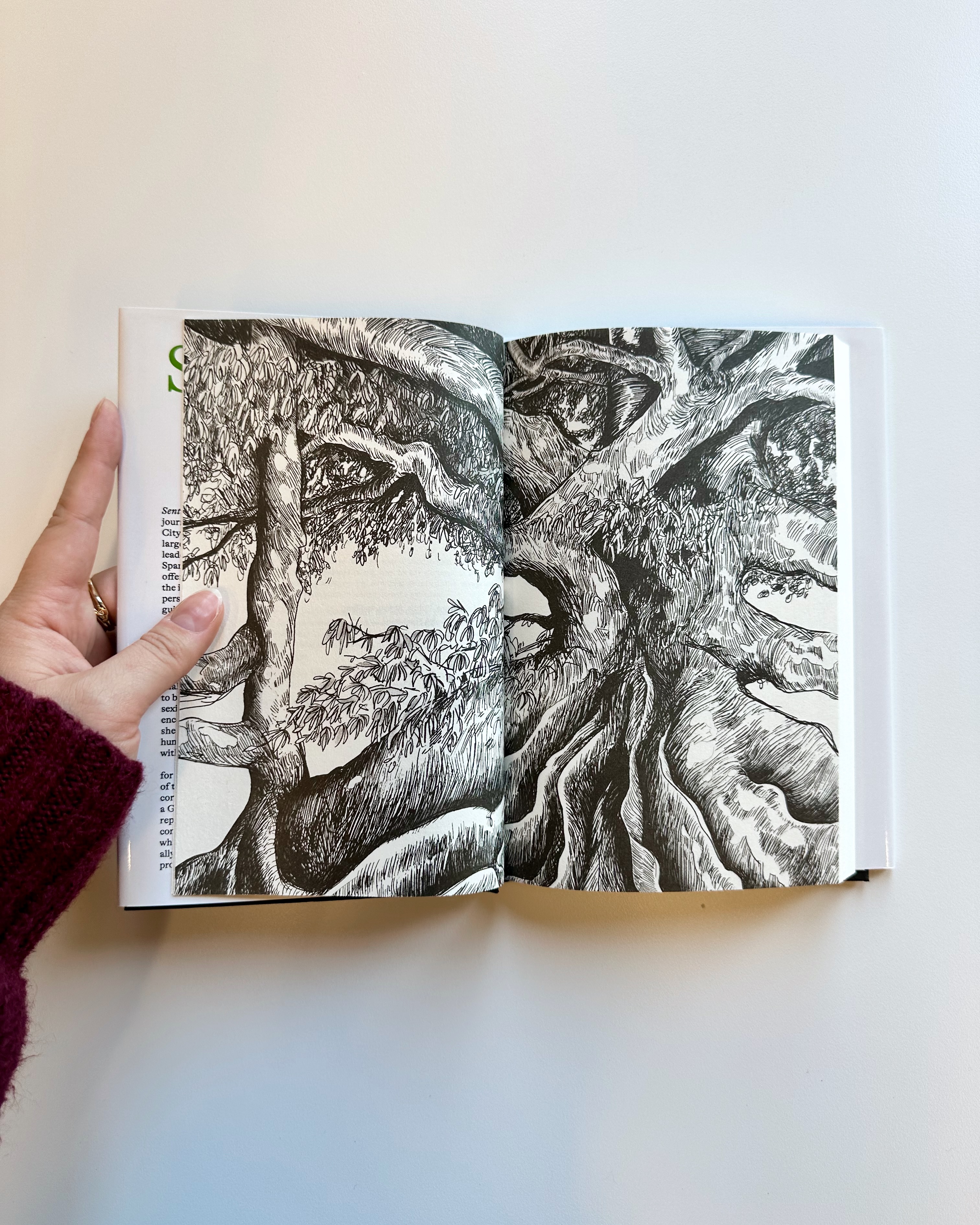 additional book photo