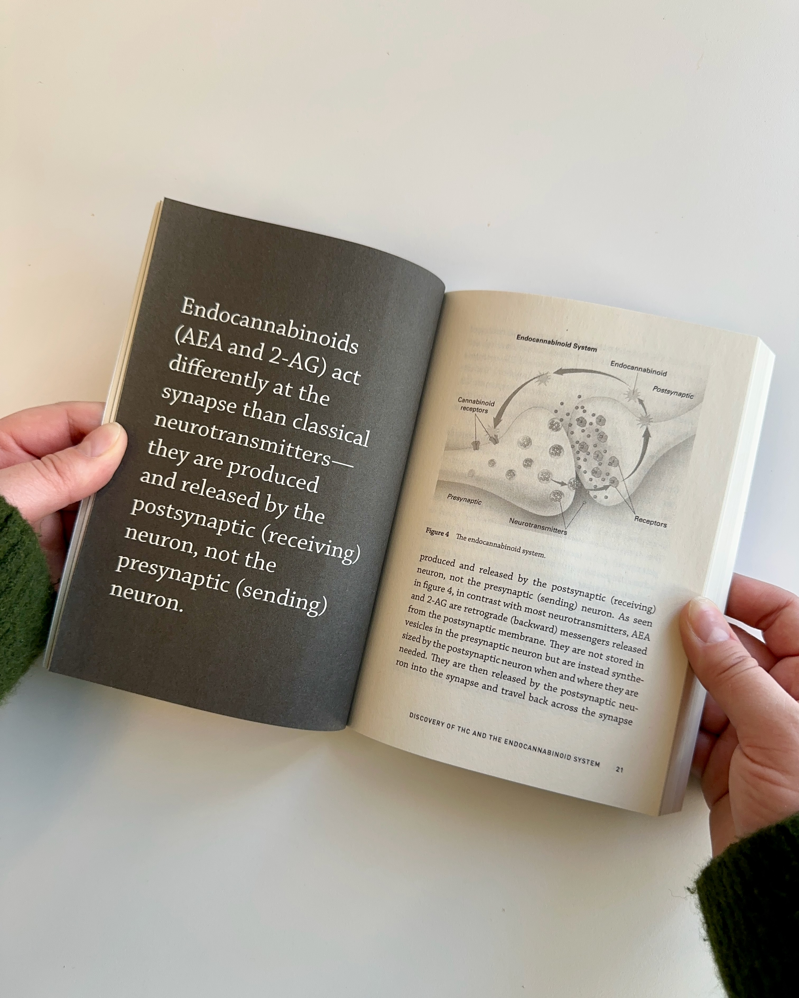 additional book photo