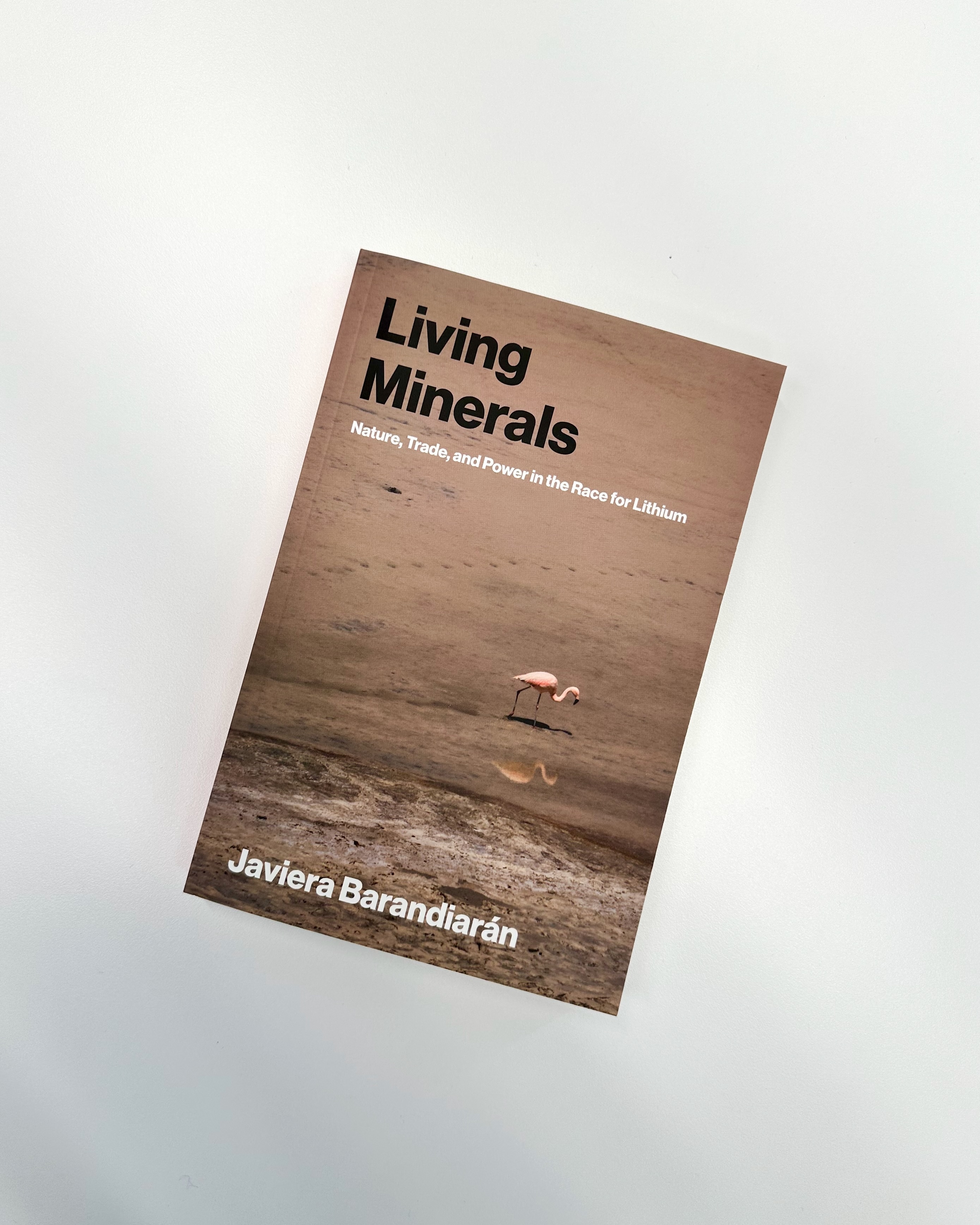 additional book photo