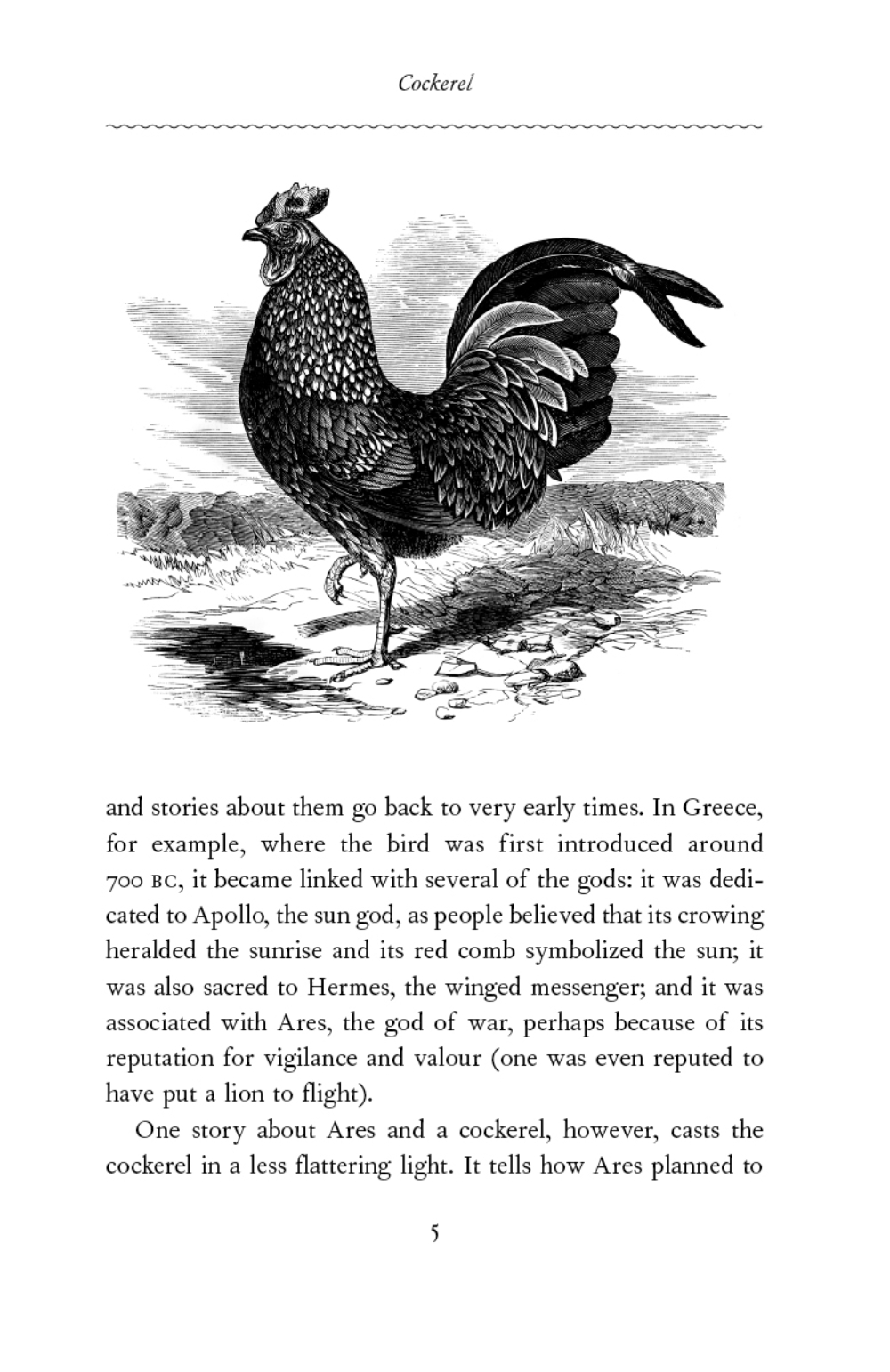 additional book photo