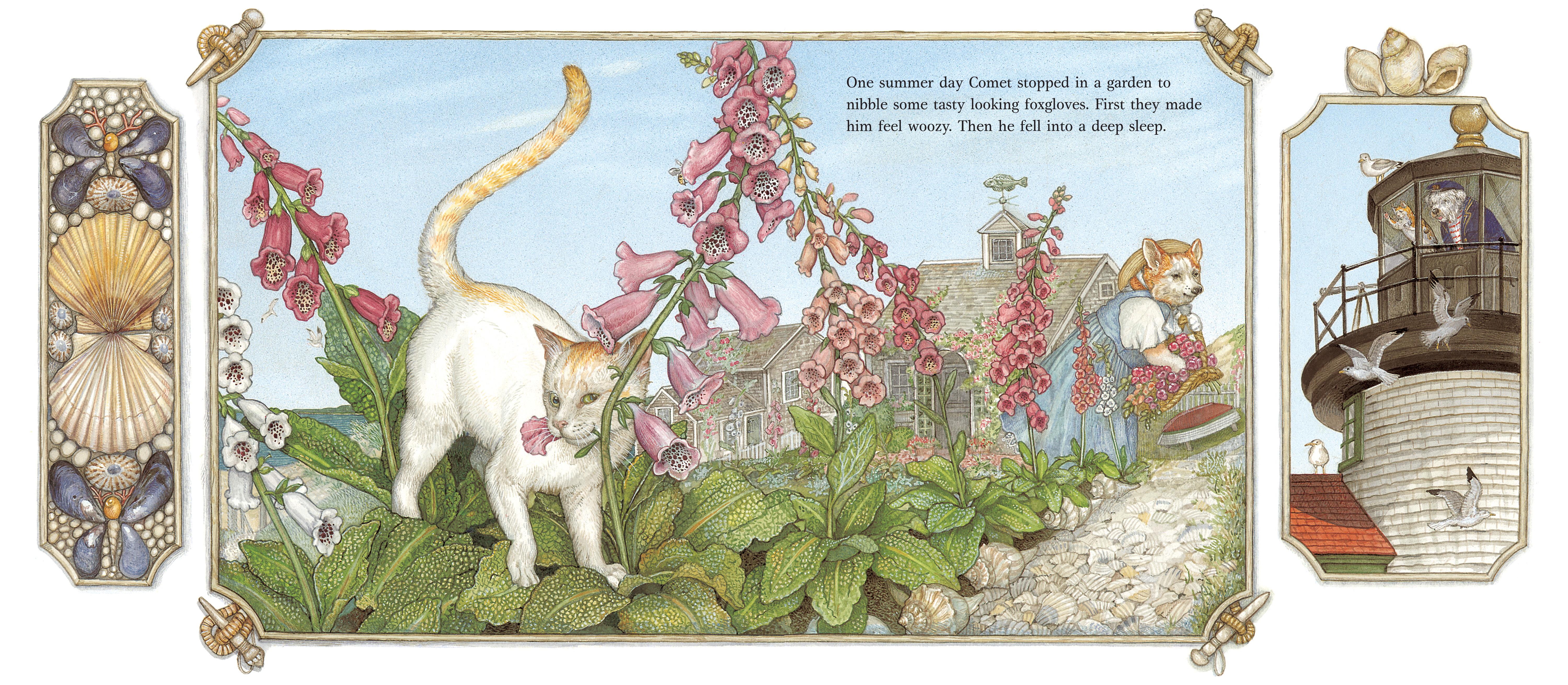 additional book photo