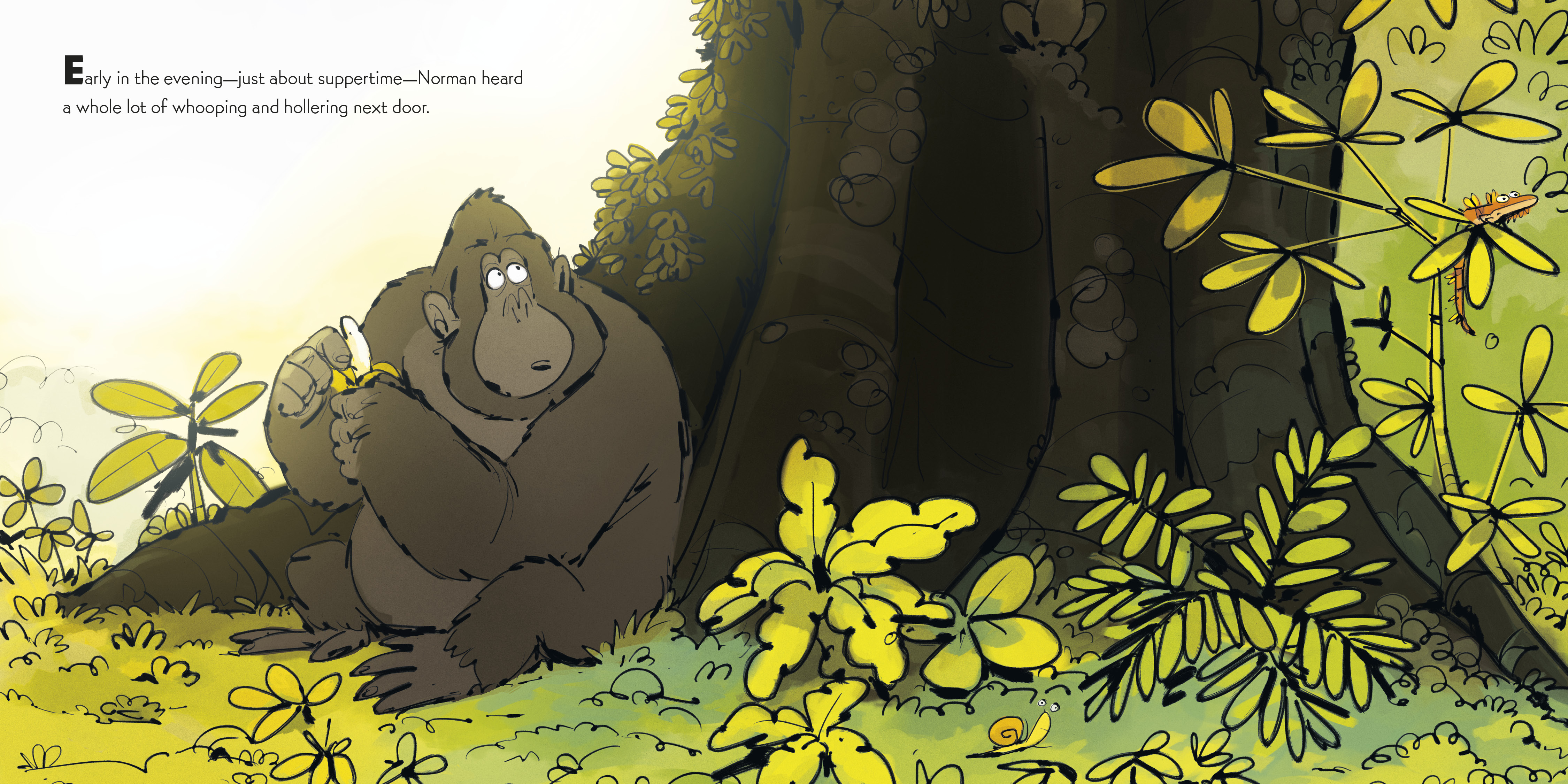 additional book photo