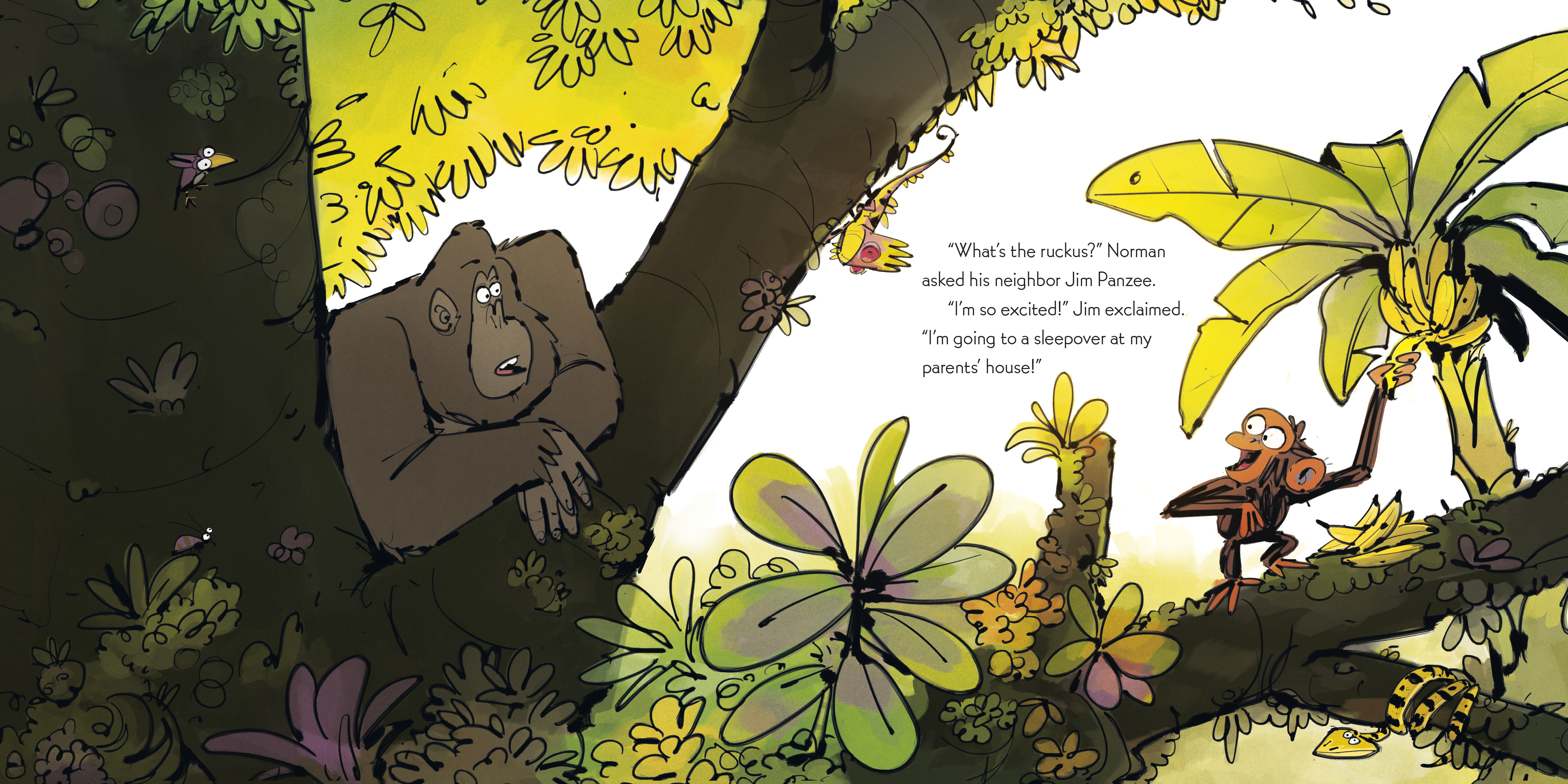additional book photo