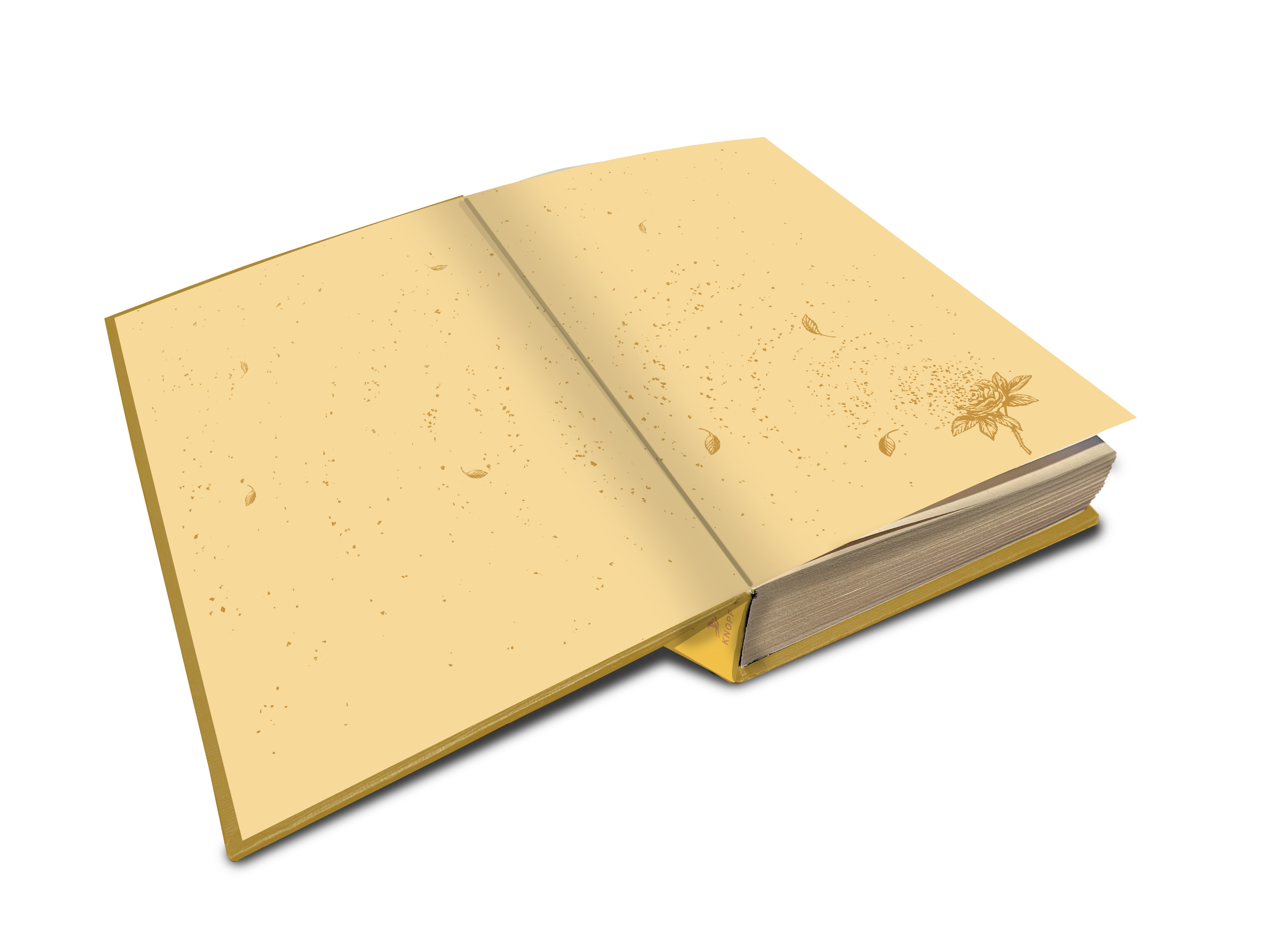additional book photo