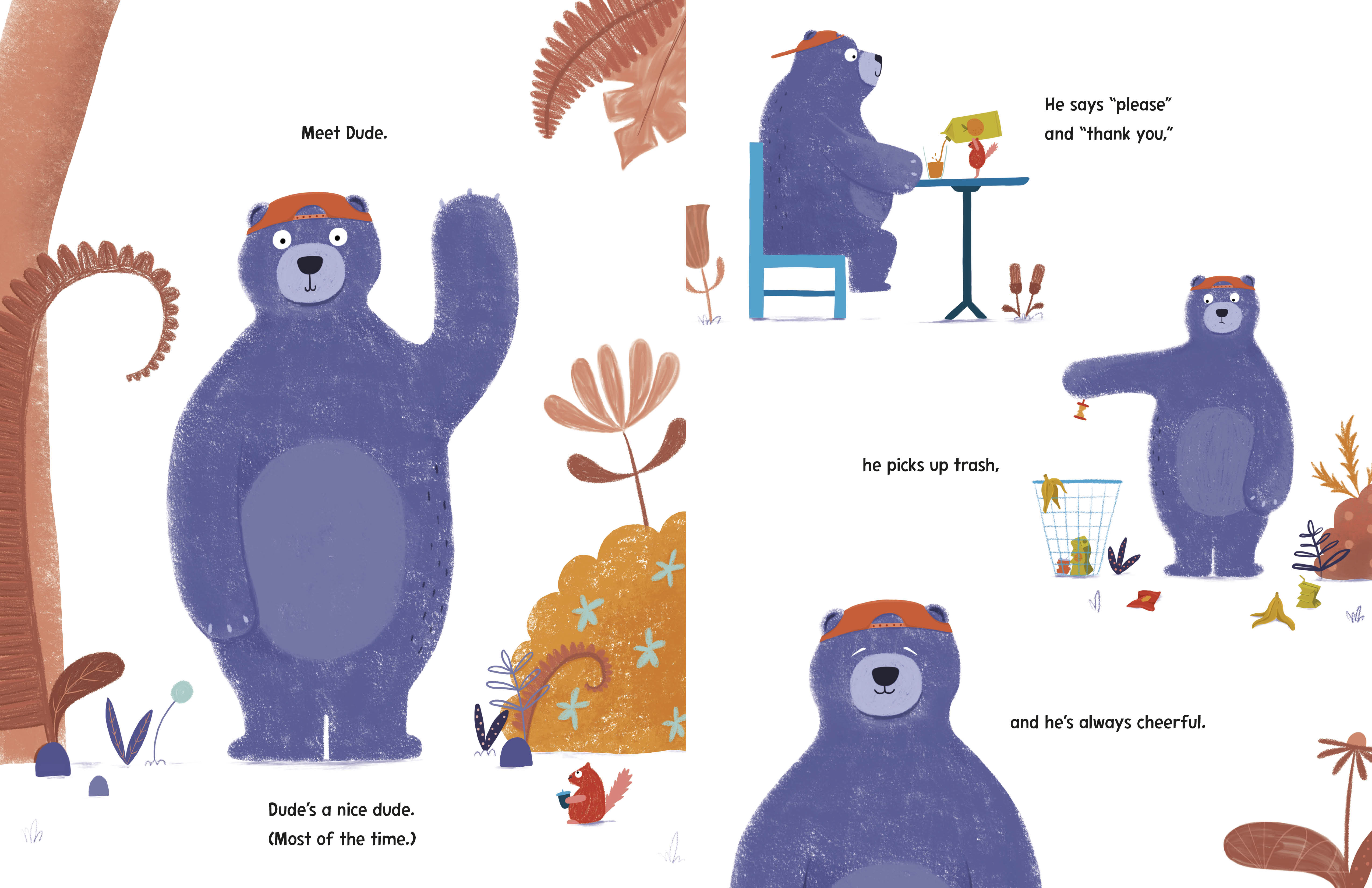 additional book photo