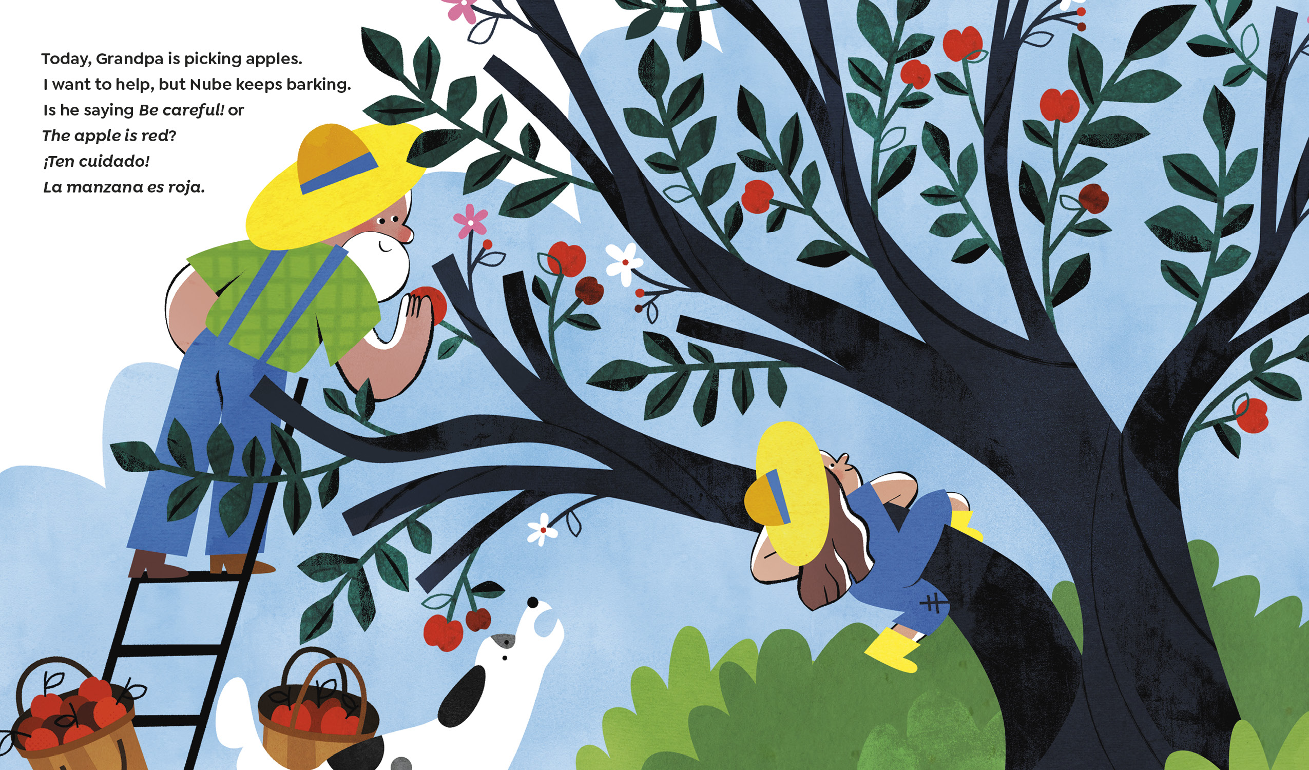 additional book photo
