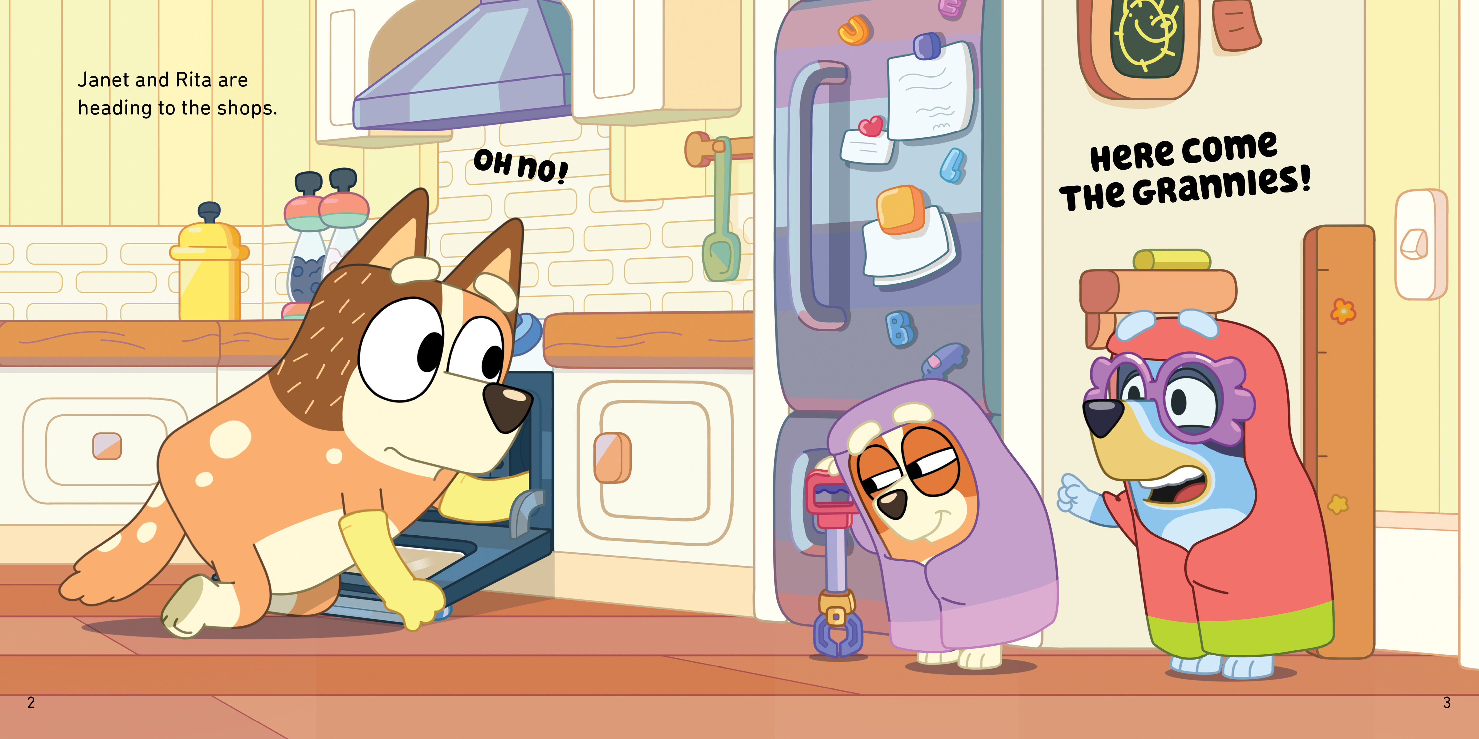 additional book photo