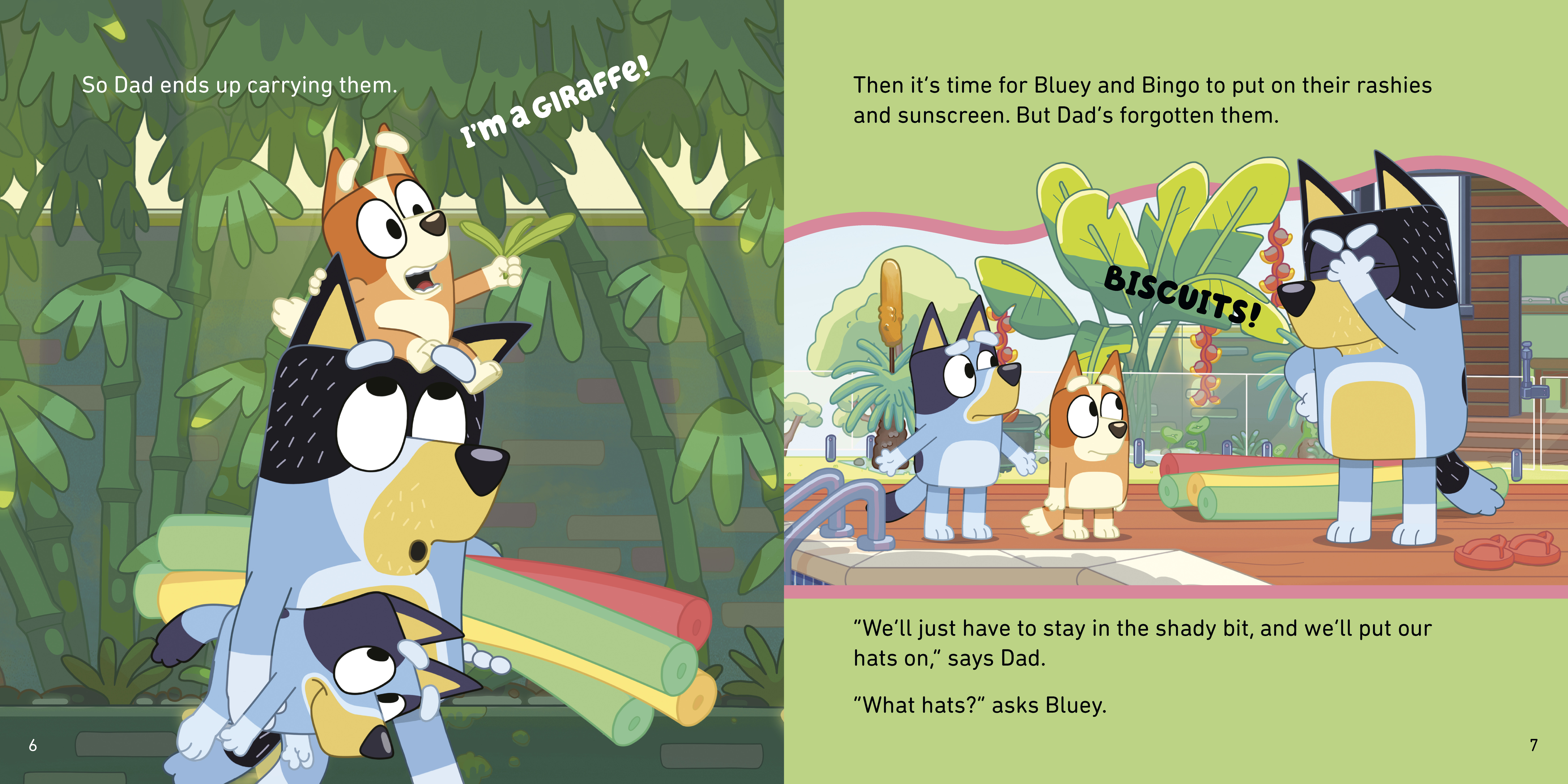 additional book photo