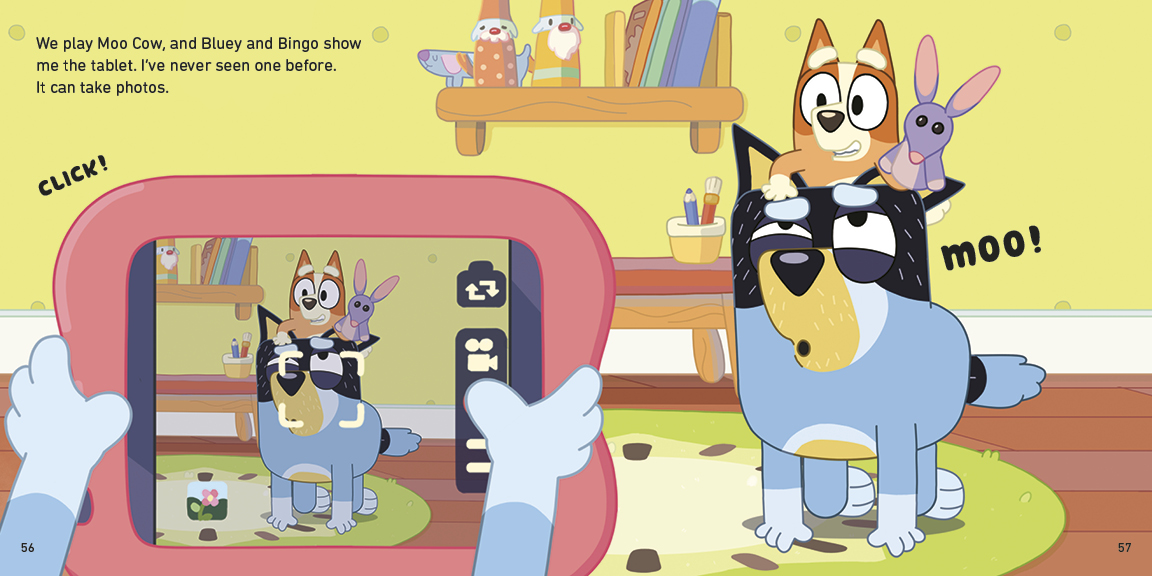 additional book photo