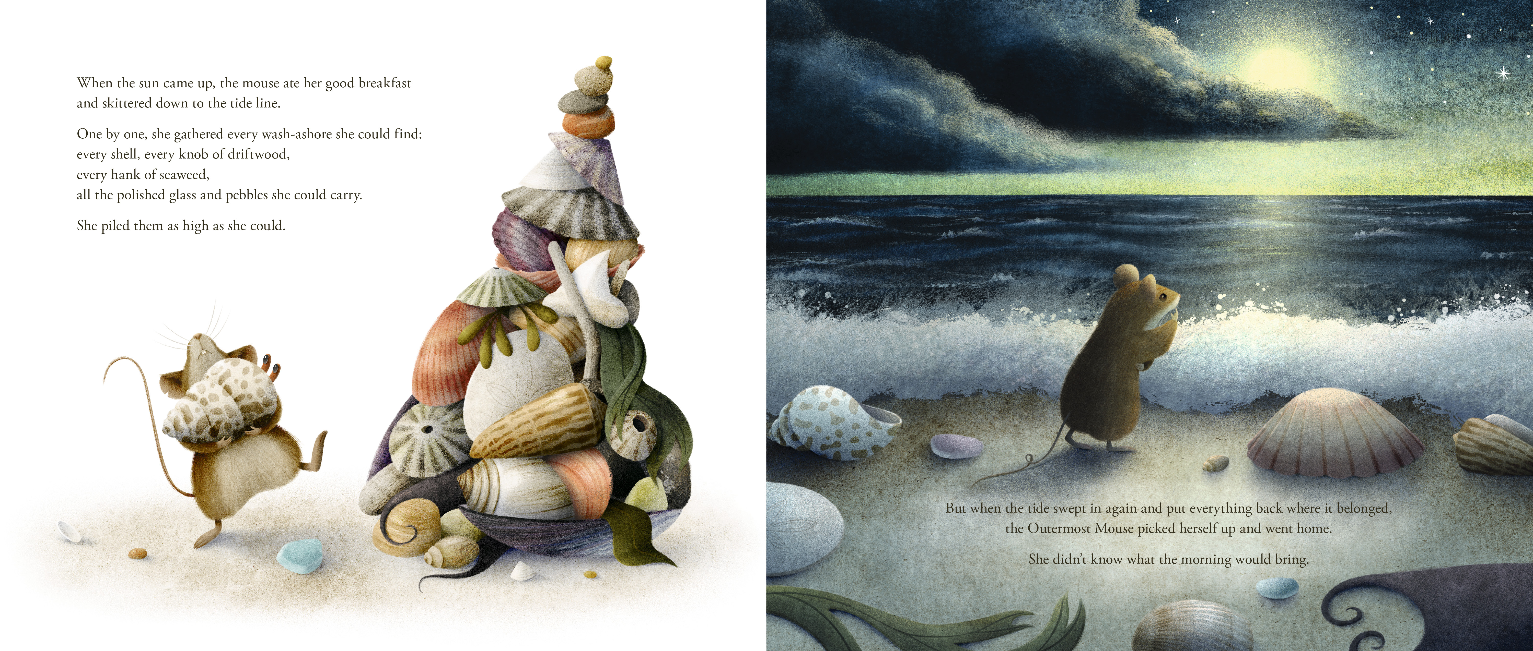 additional book photo