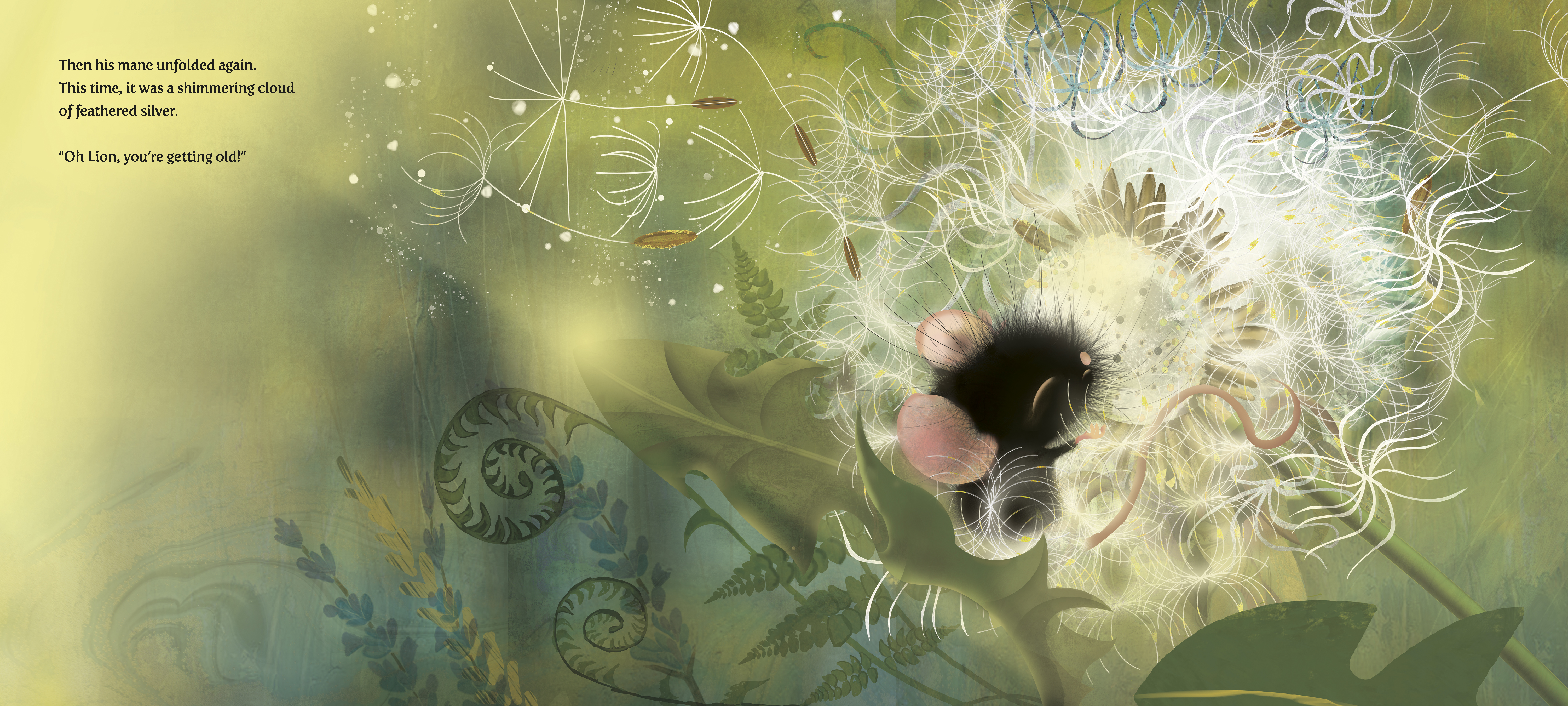 additional book photo