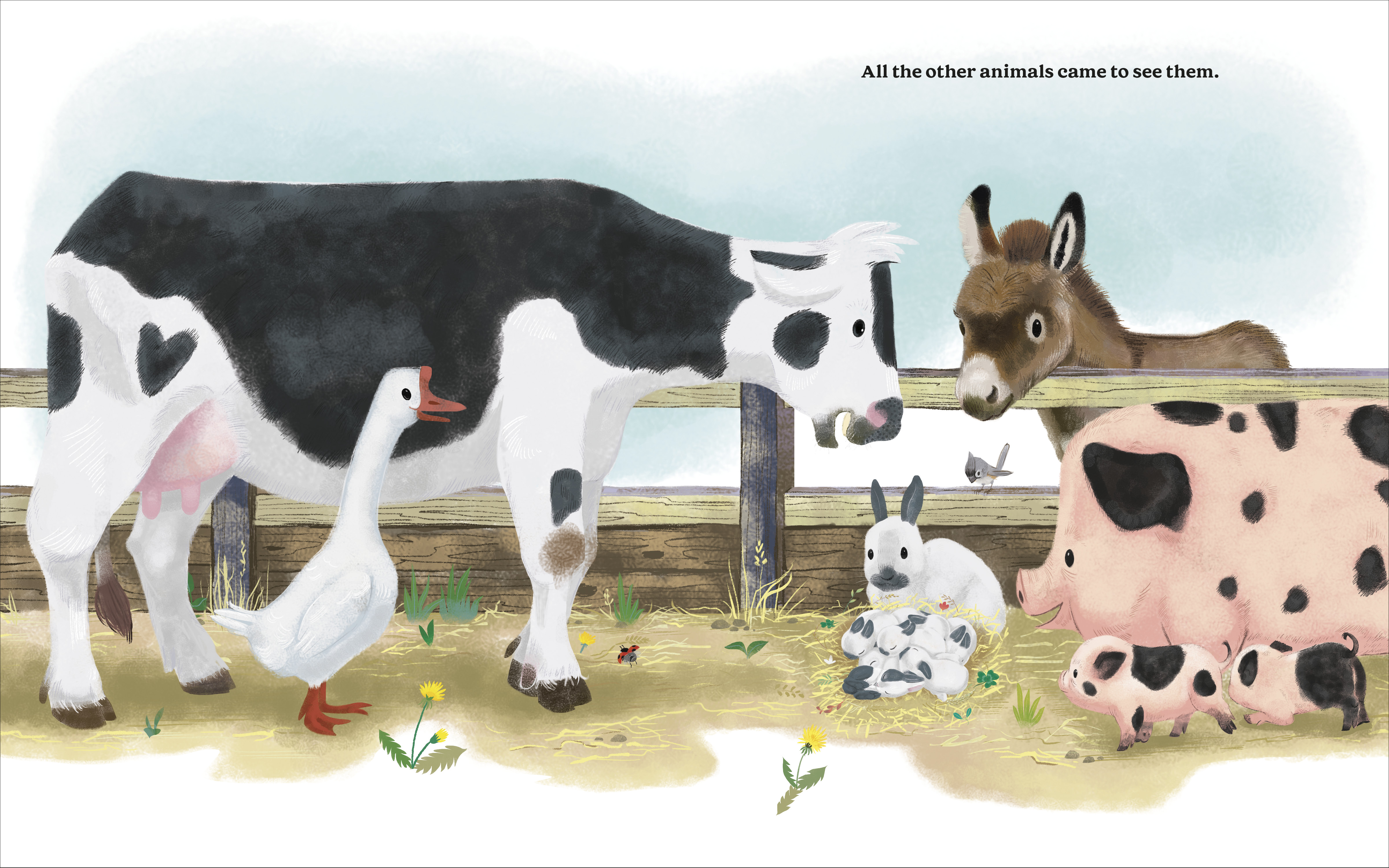 additional book photo