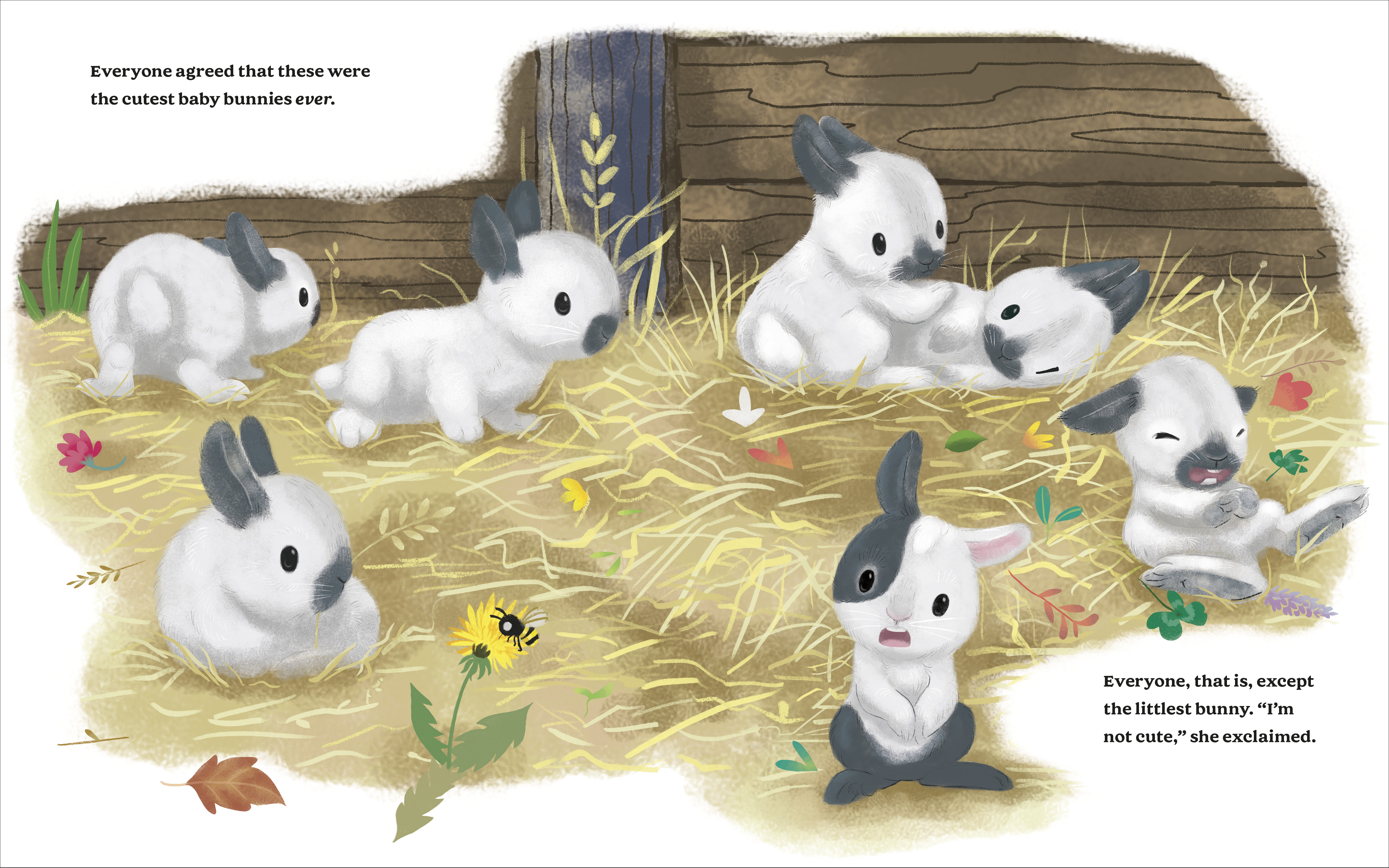 additional book photo
