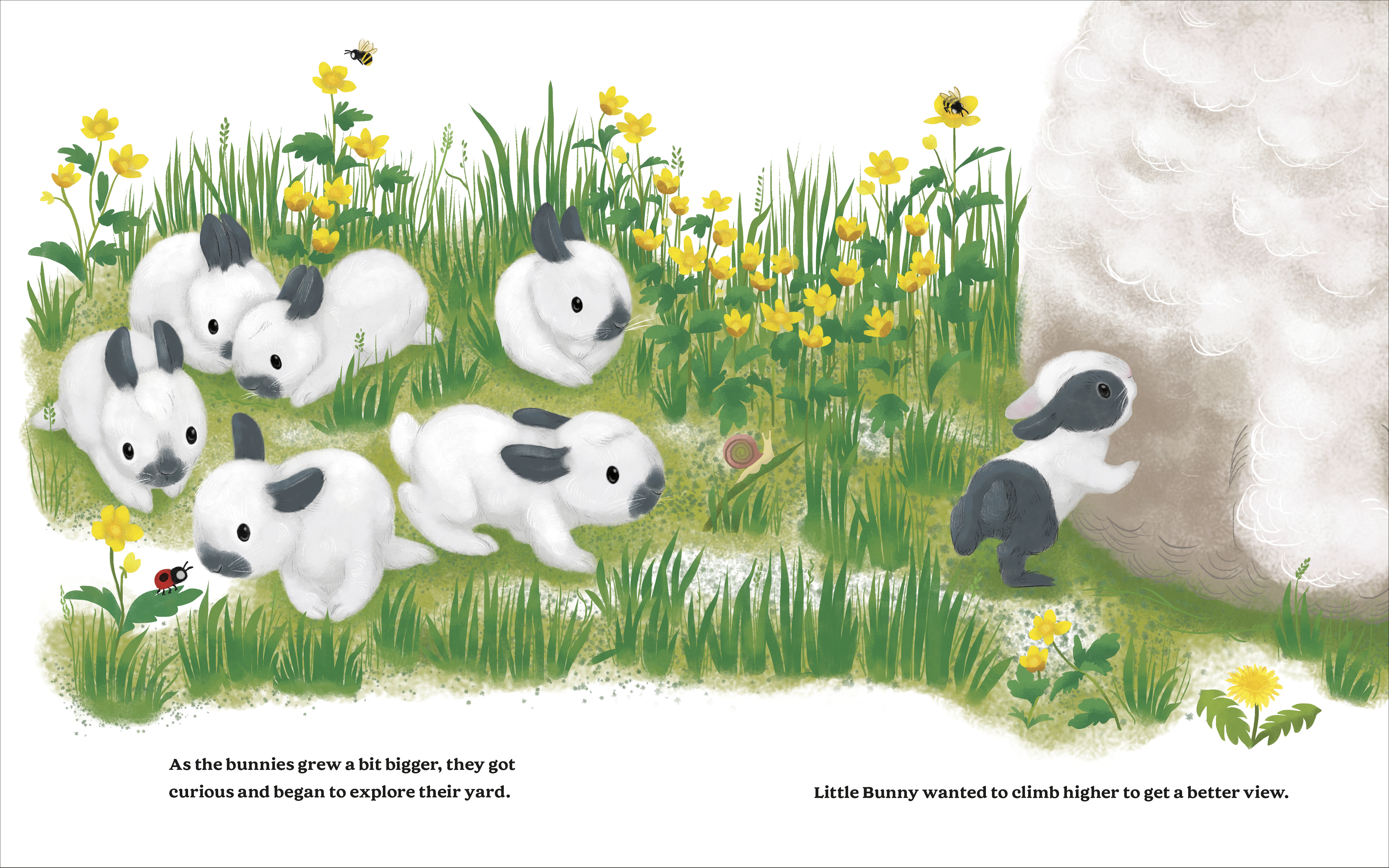 additional book photo