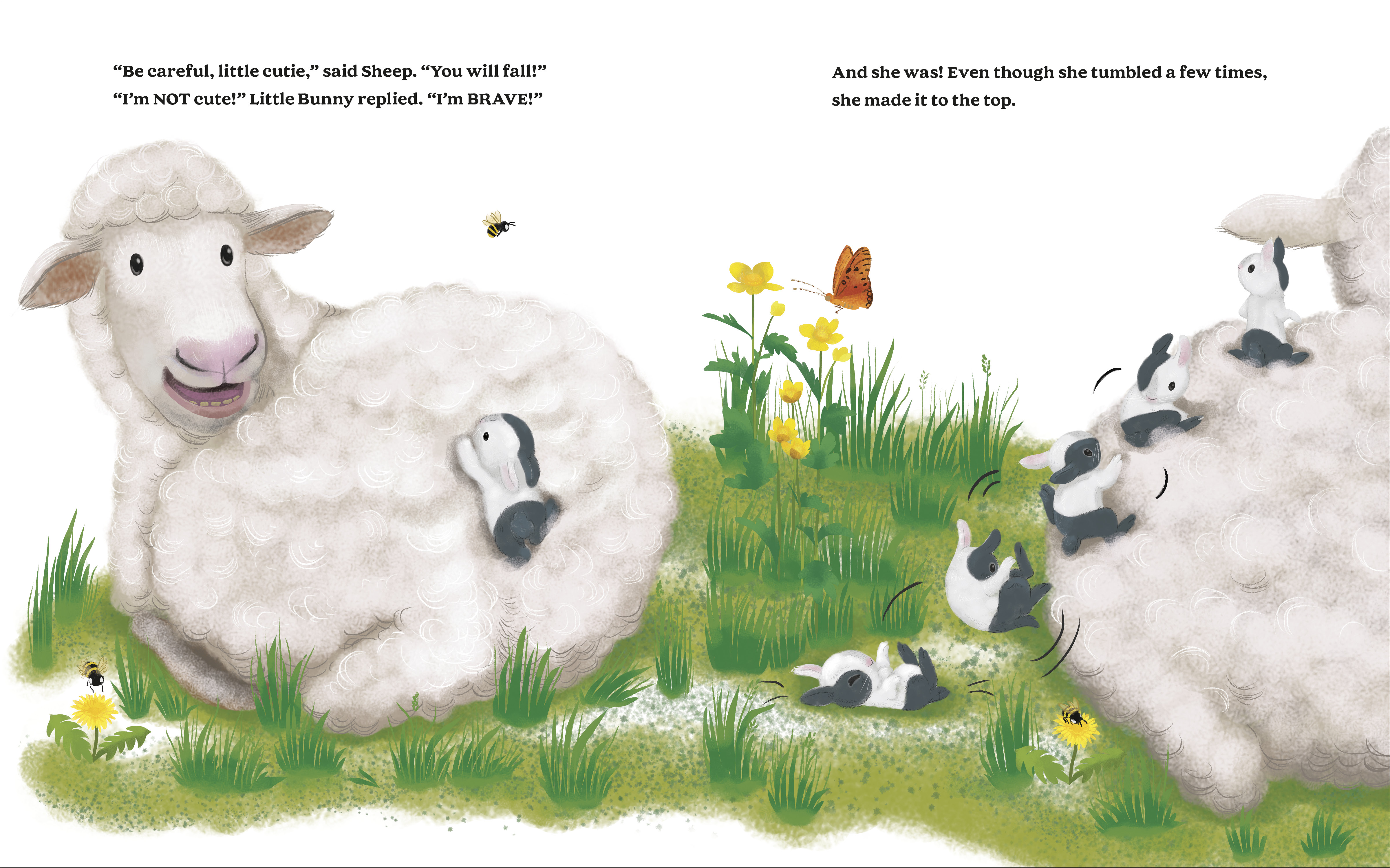 additional book photo