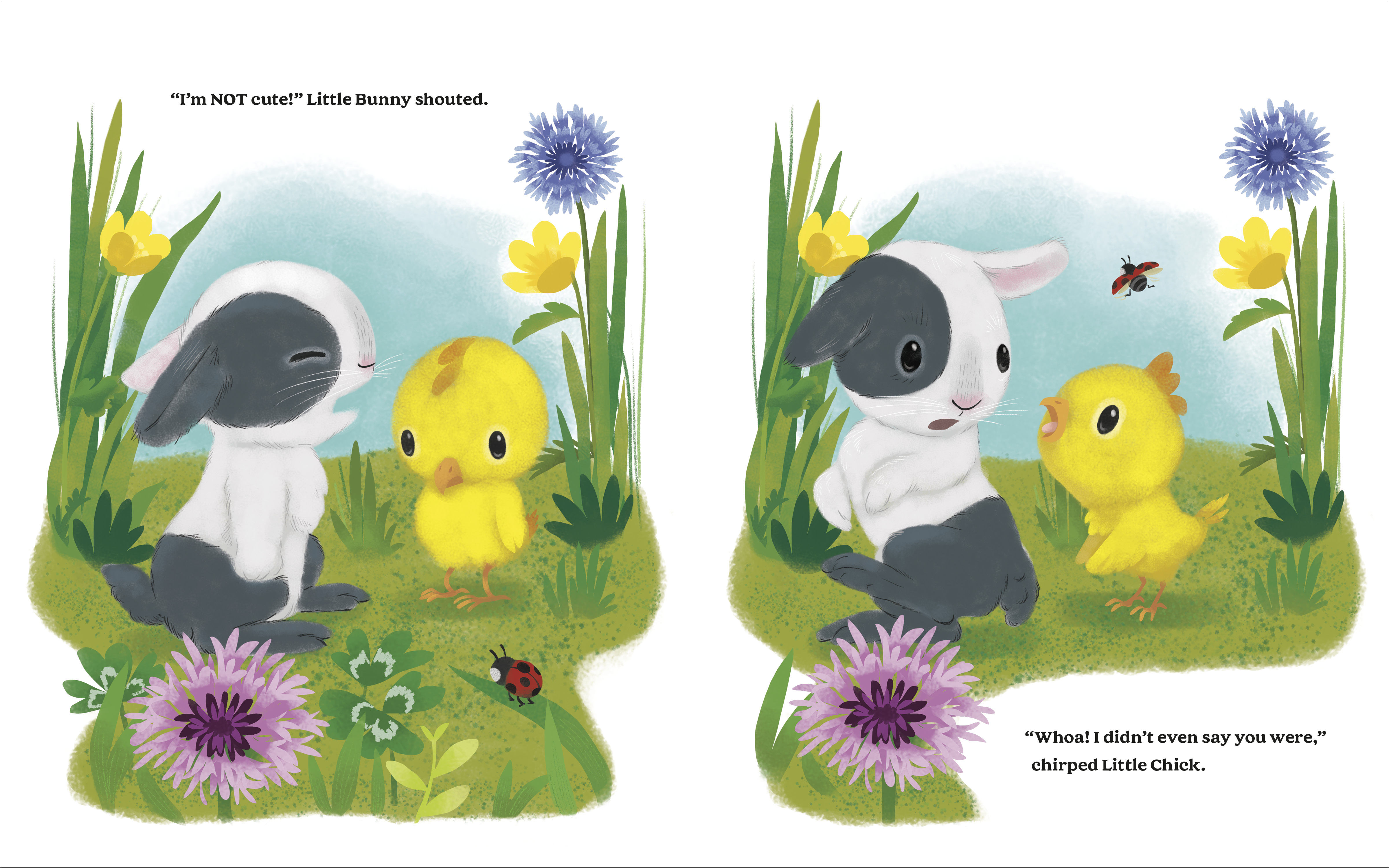 additional book photo