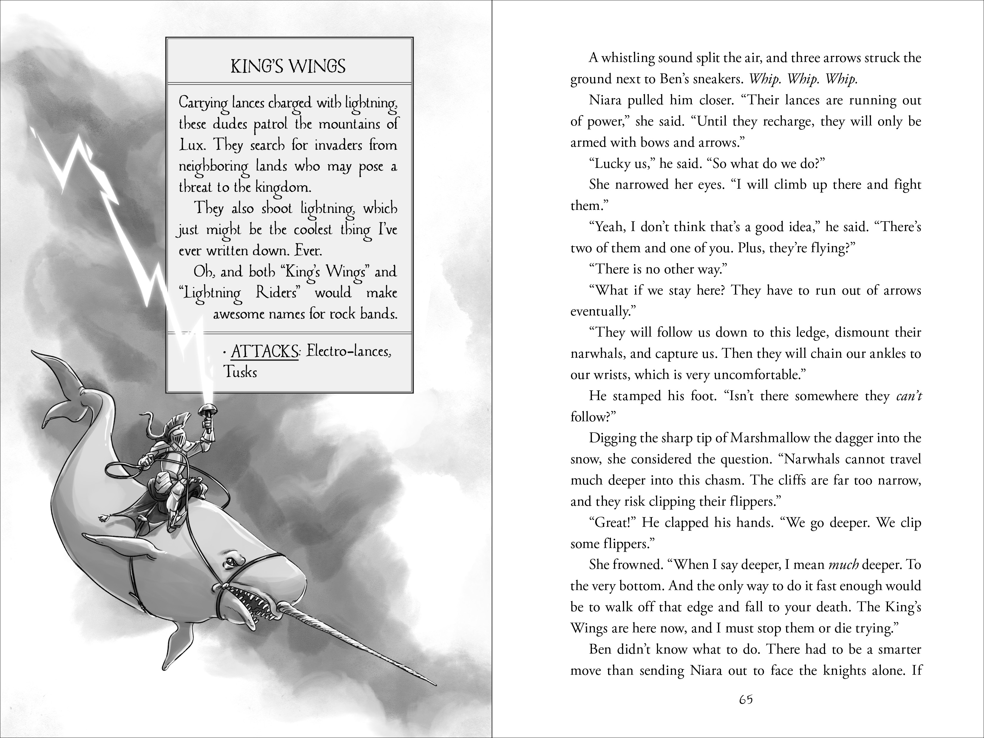 additional book photo