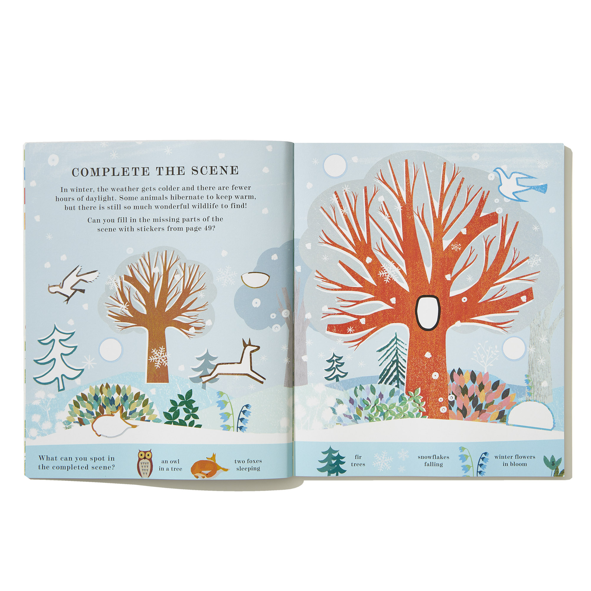 additional book photo