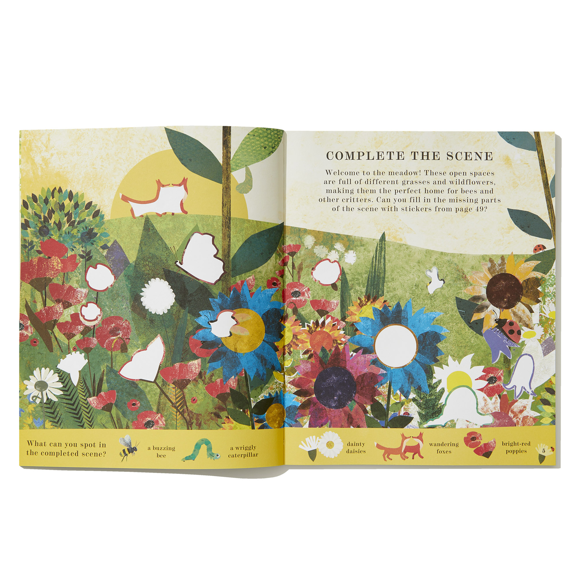 additional book photo
