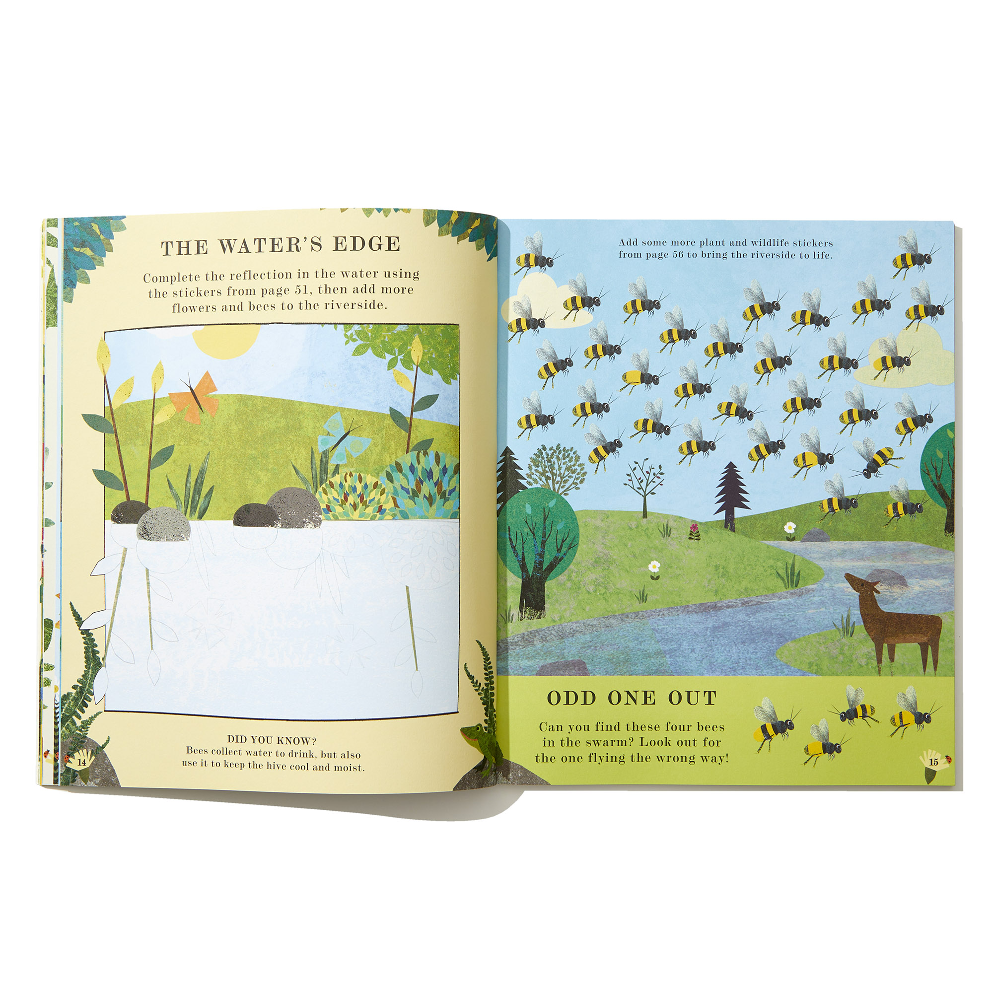 additional book photo
