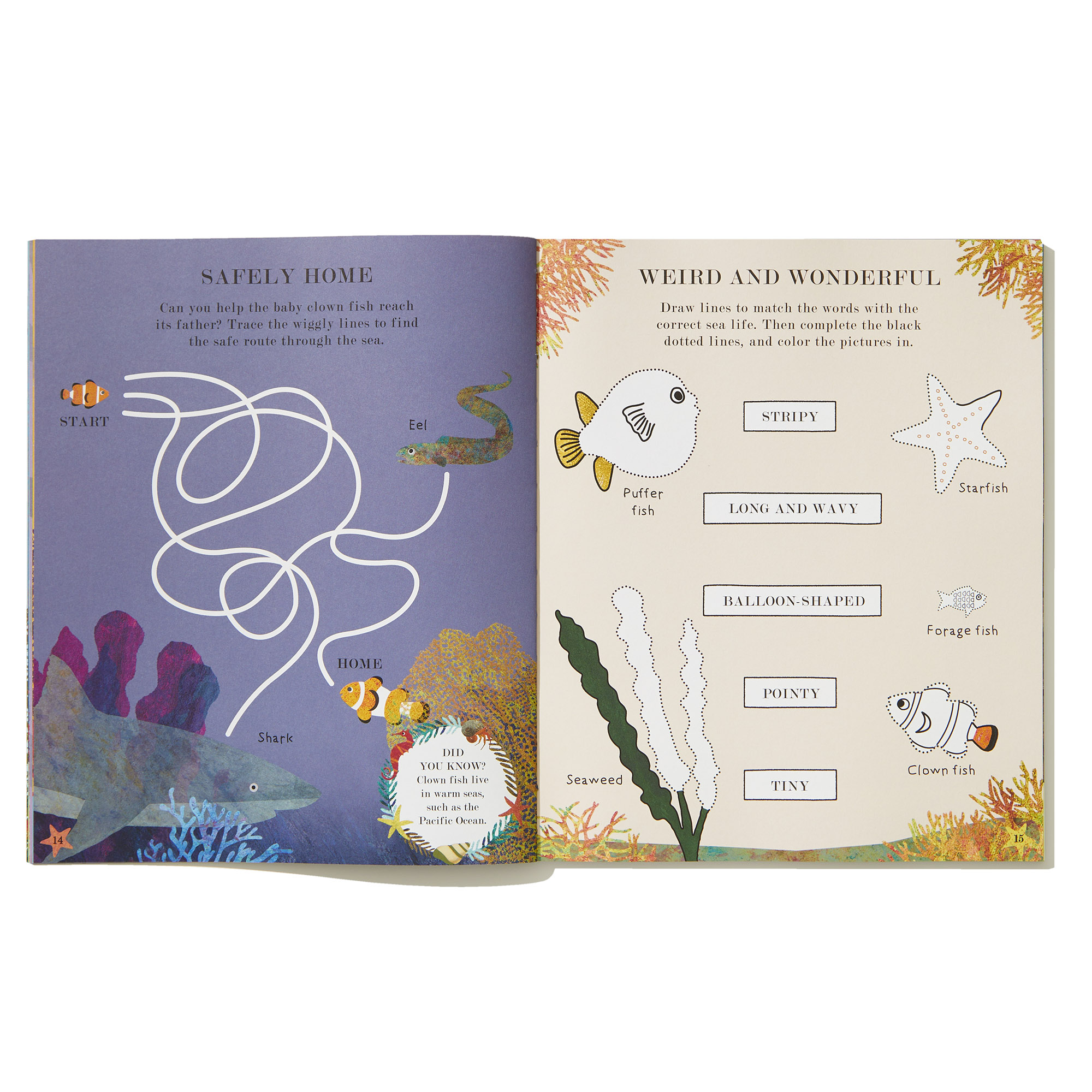 additional book photo