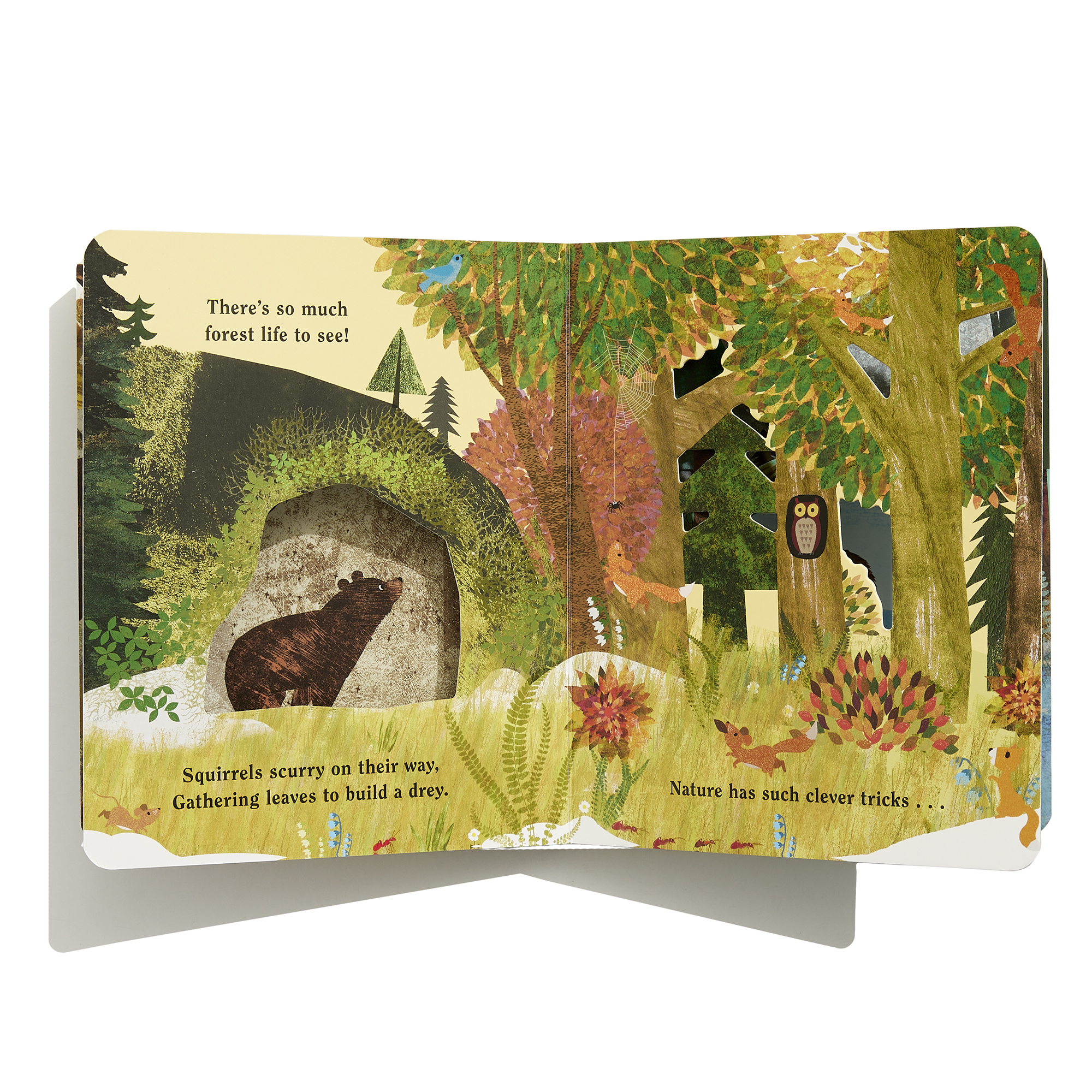 additional book photo