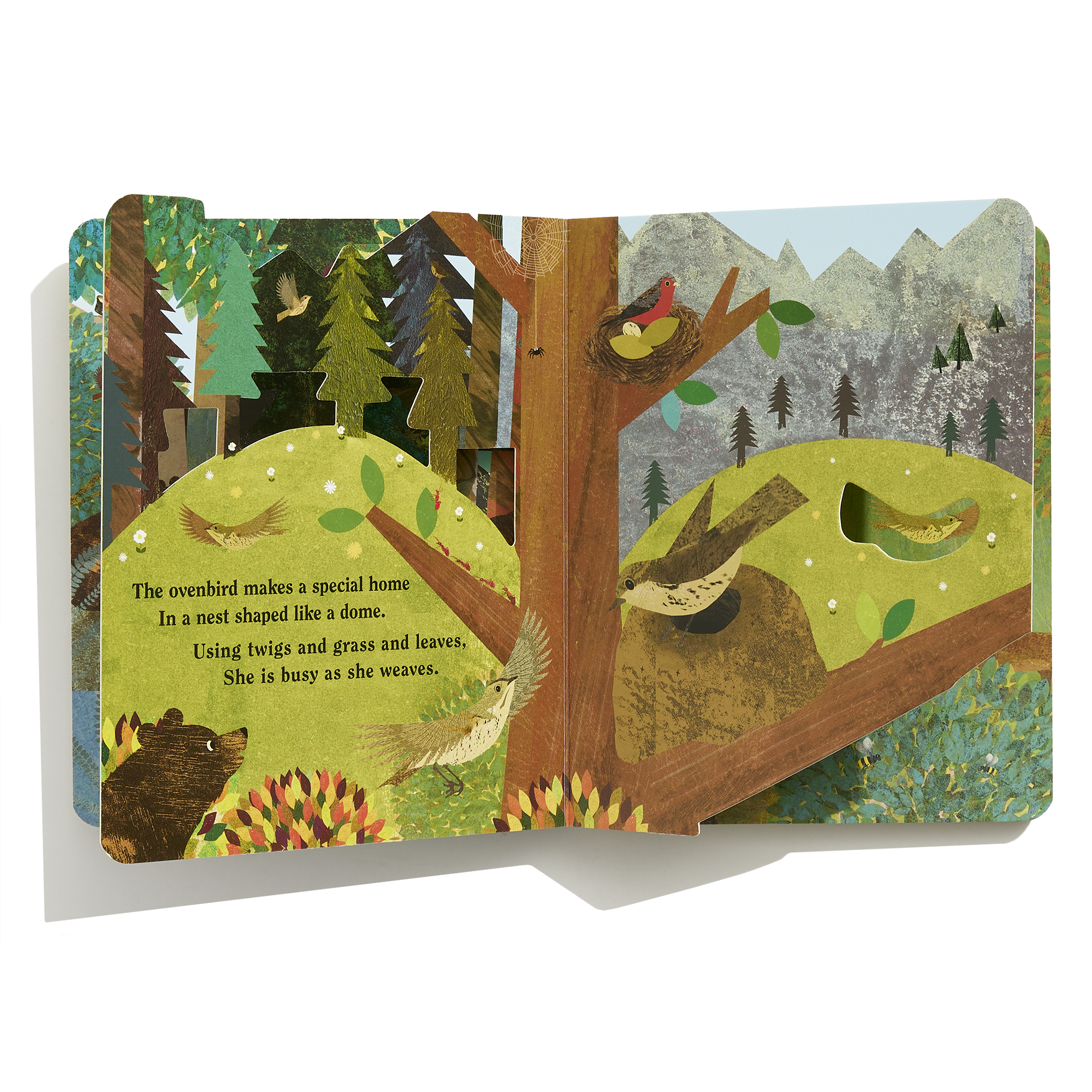 additional book photo