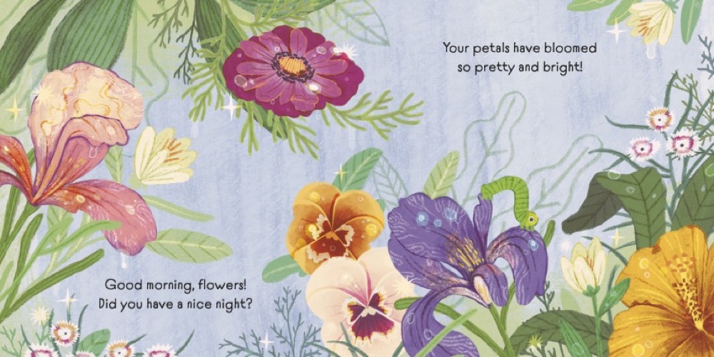 additional book photo