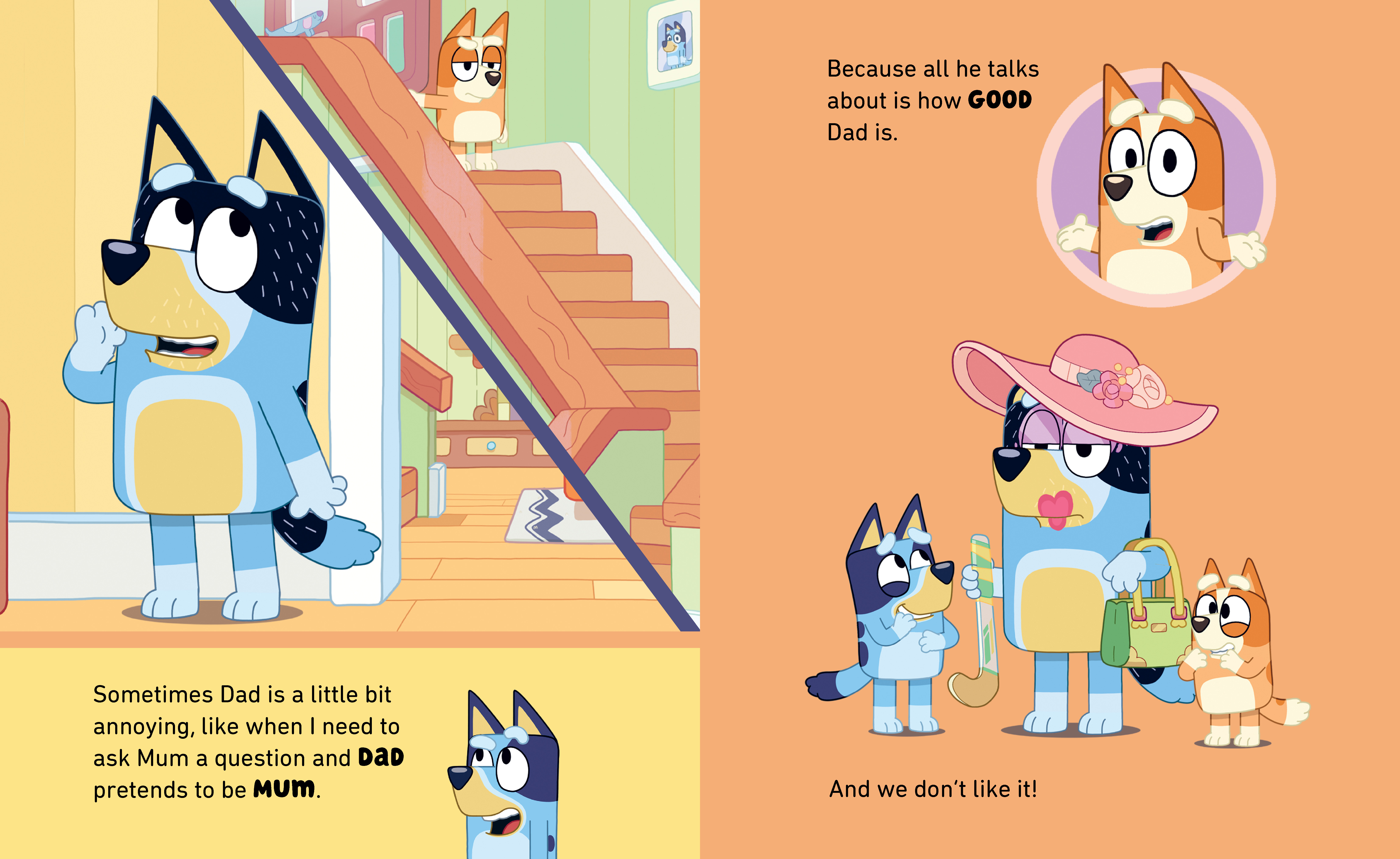 additional book photo