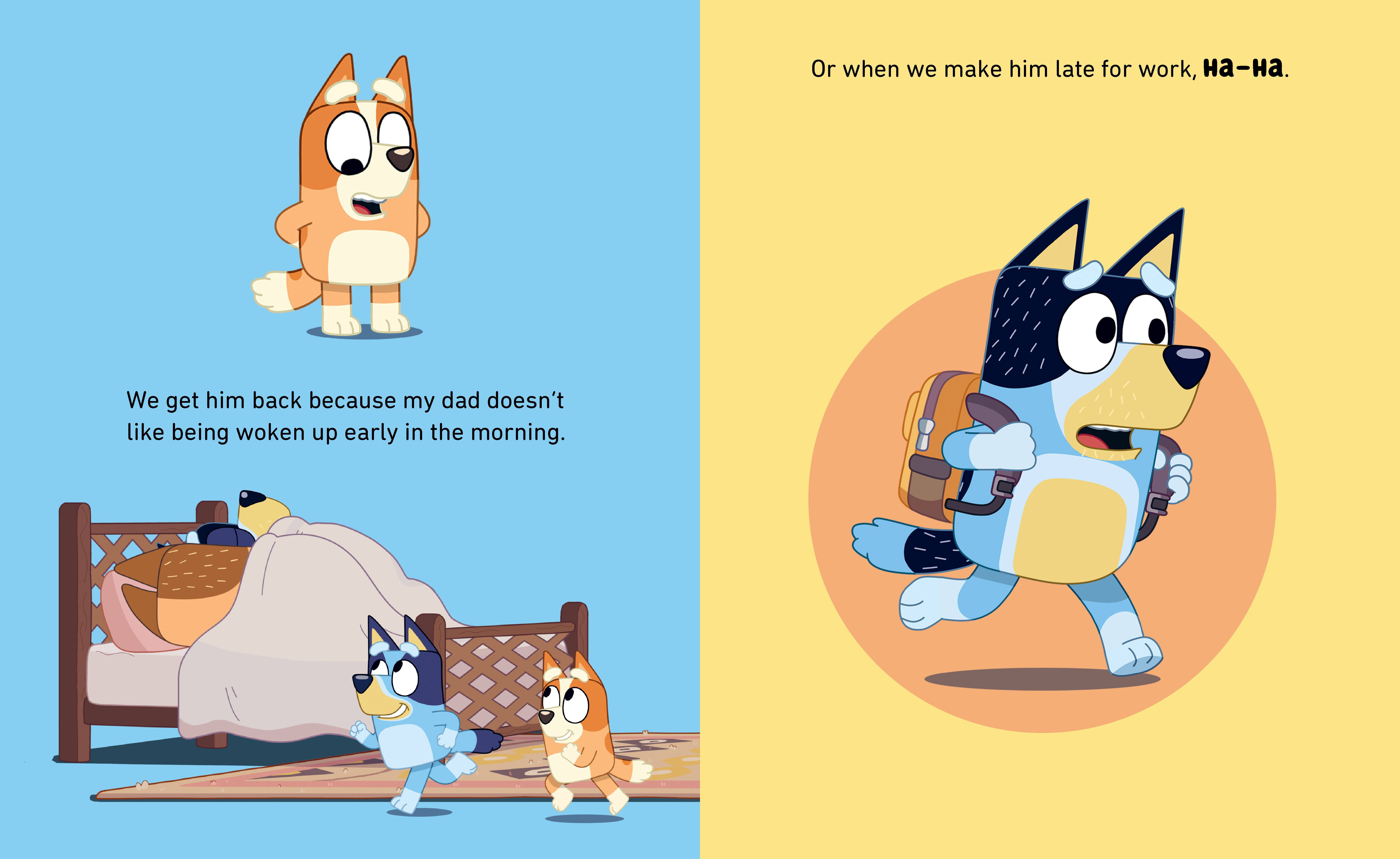 additional book photo