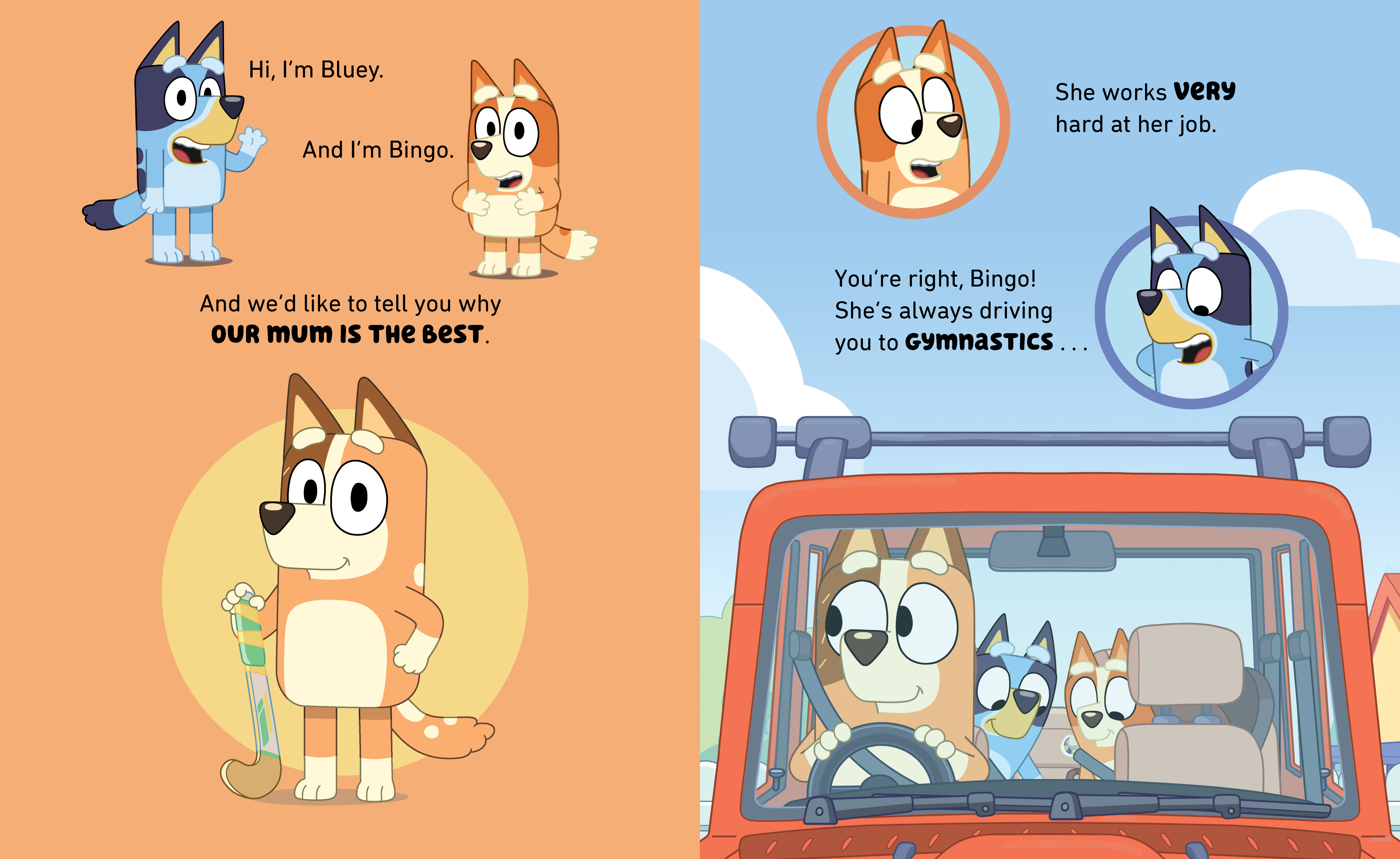 additional book photo