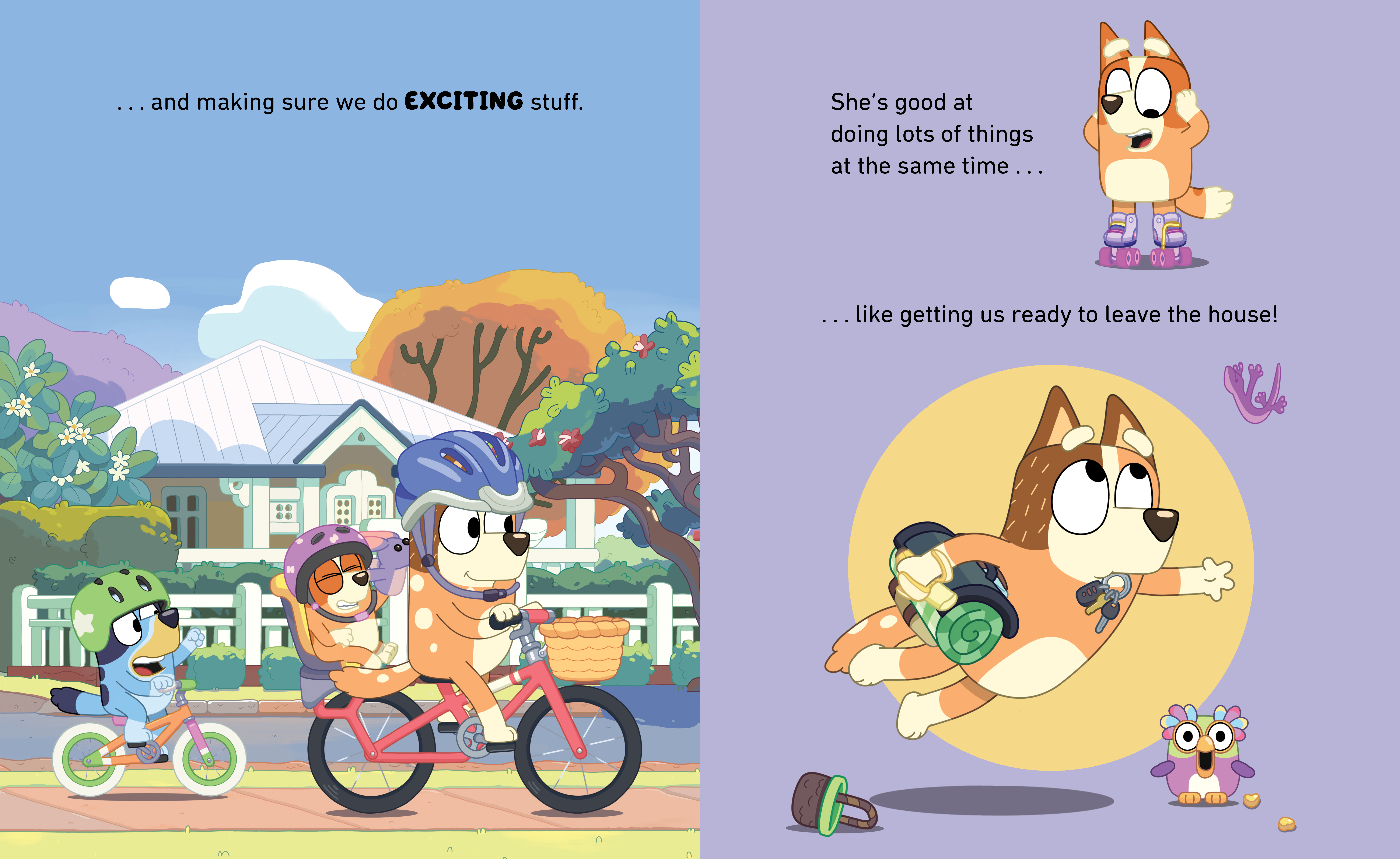 additional book photo