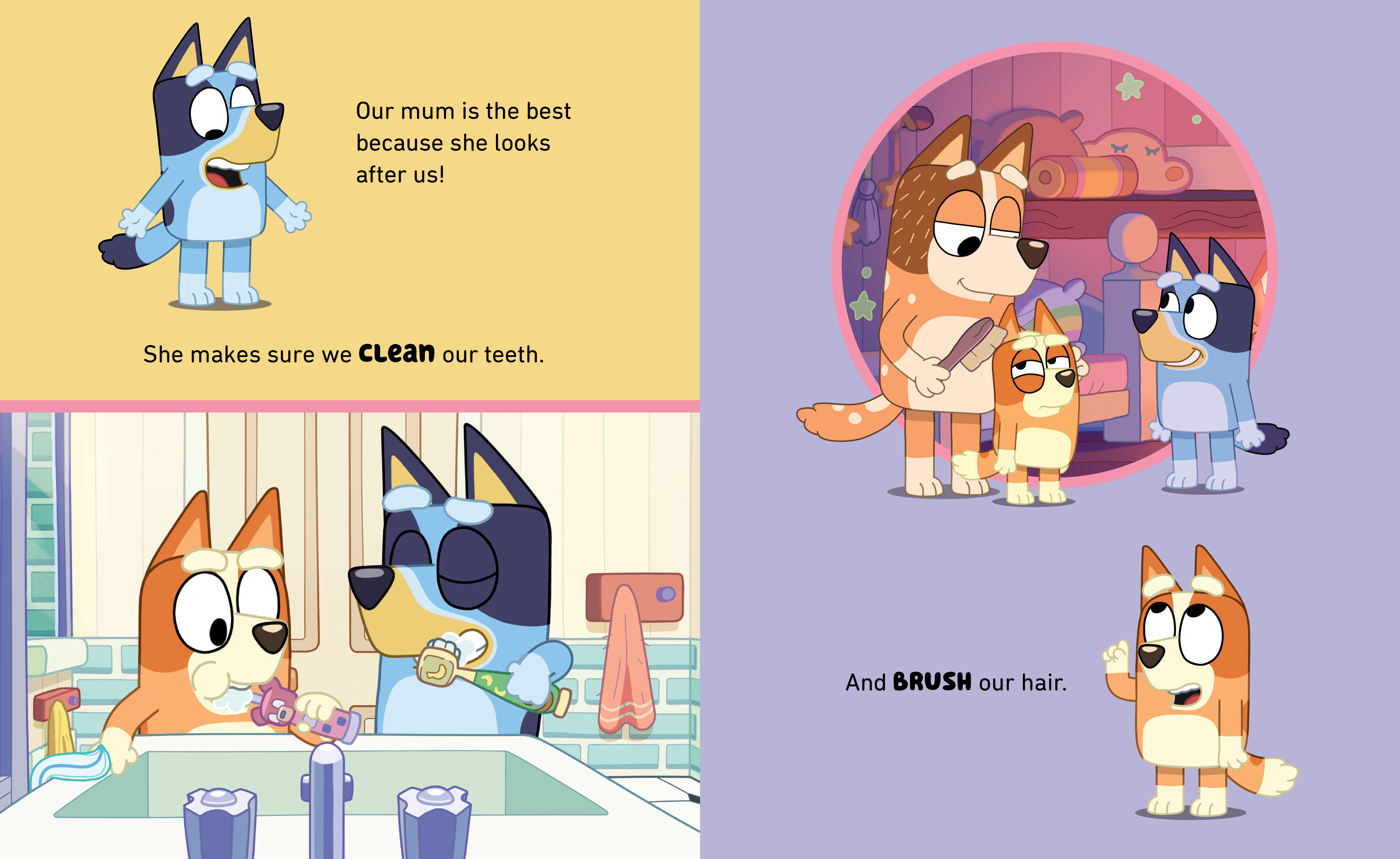 additional book photo