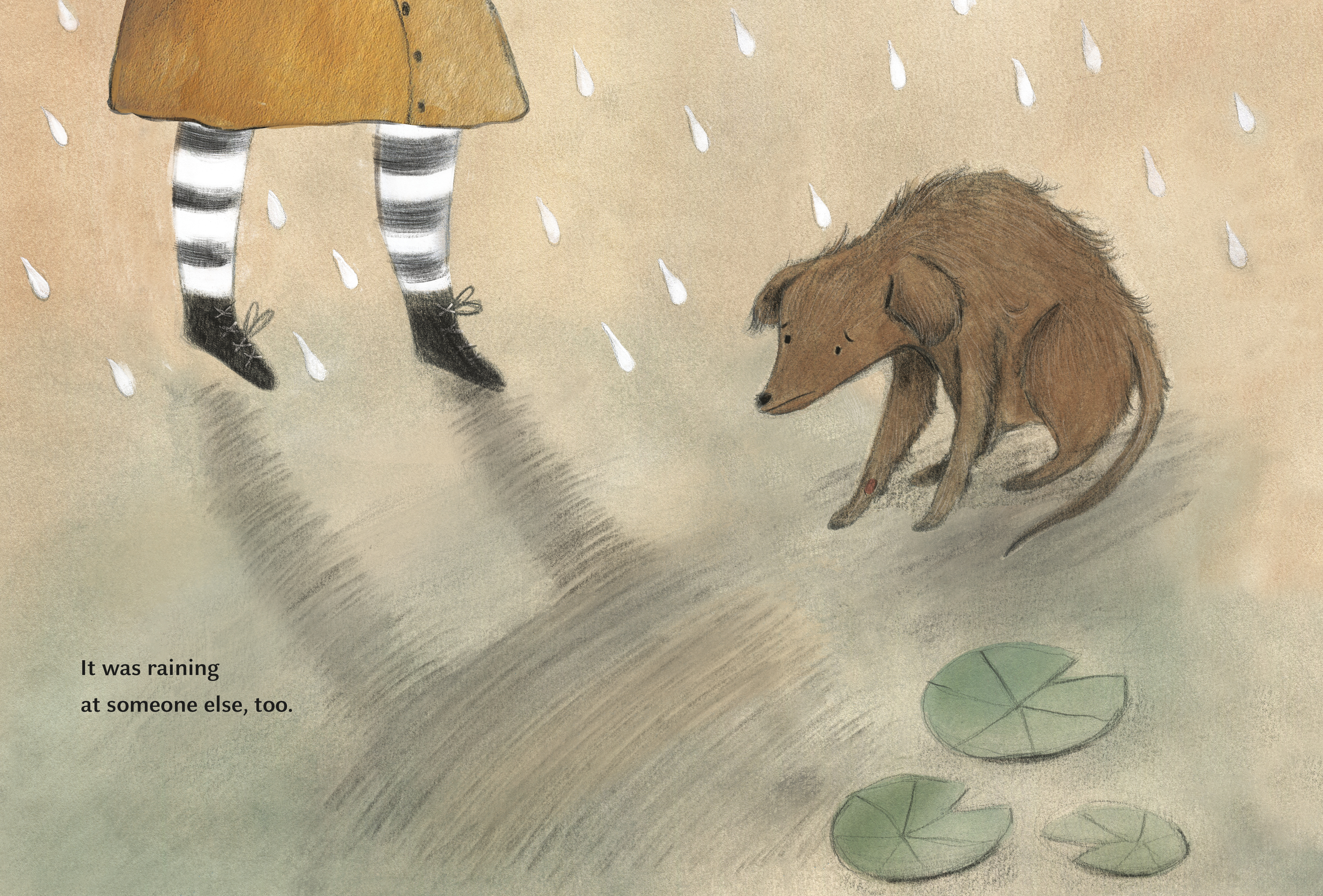 additional book photo