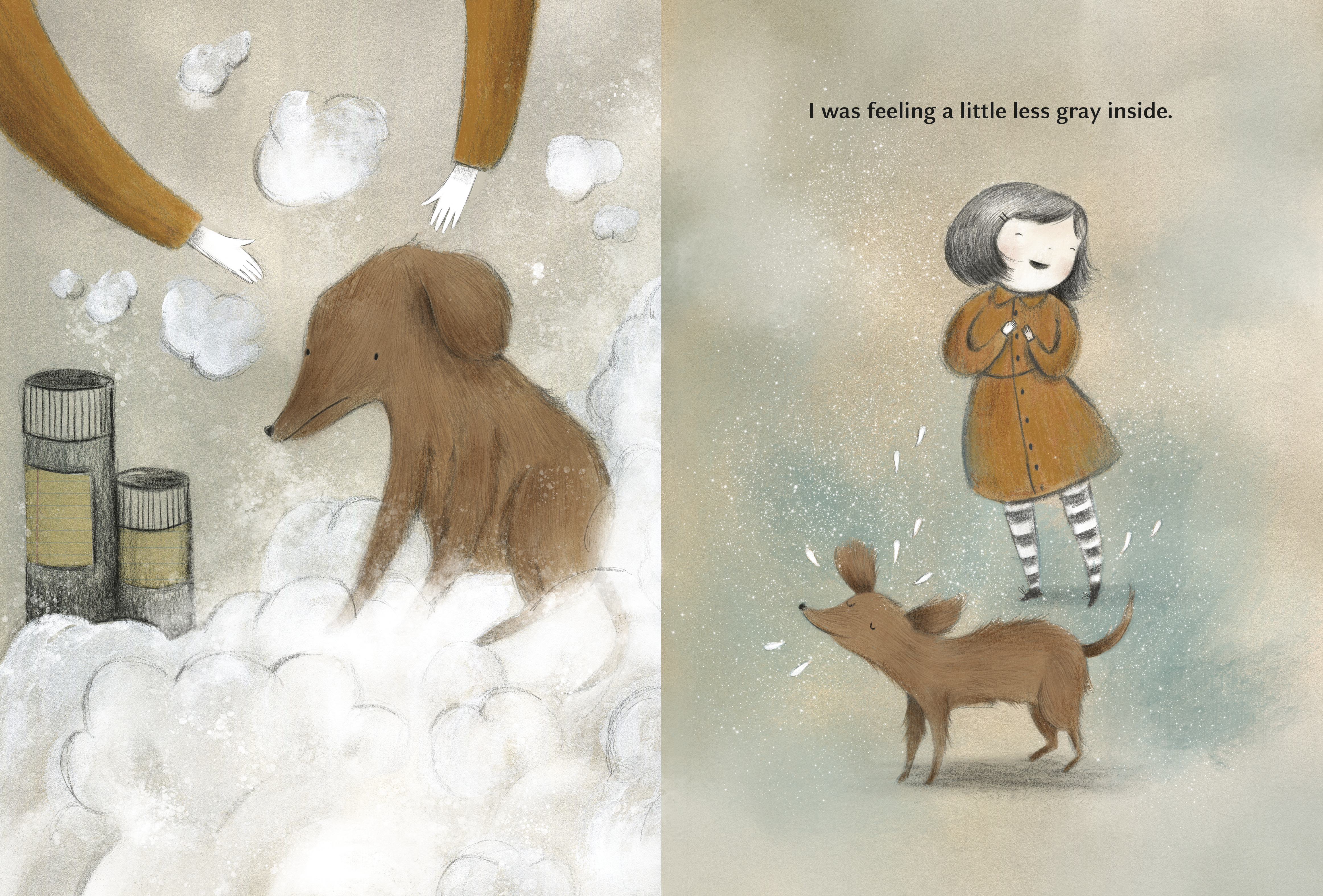 additional book photo