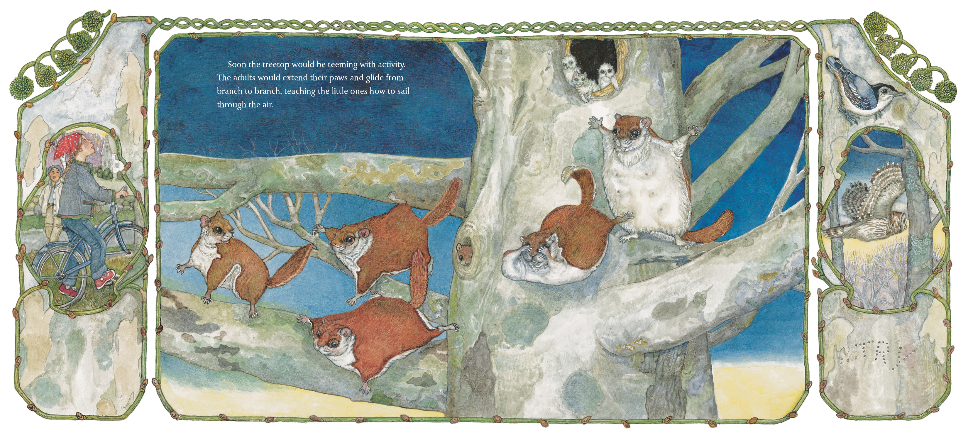 additional book photo