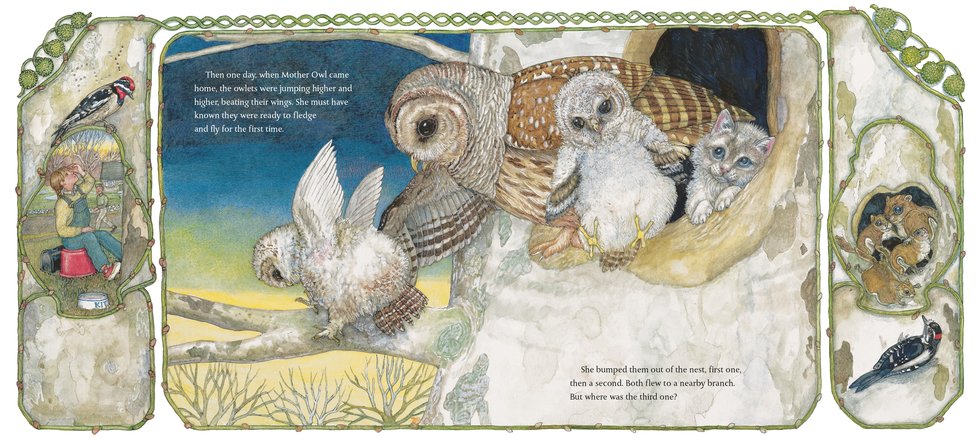 additional book photo