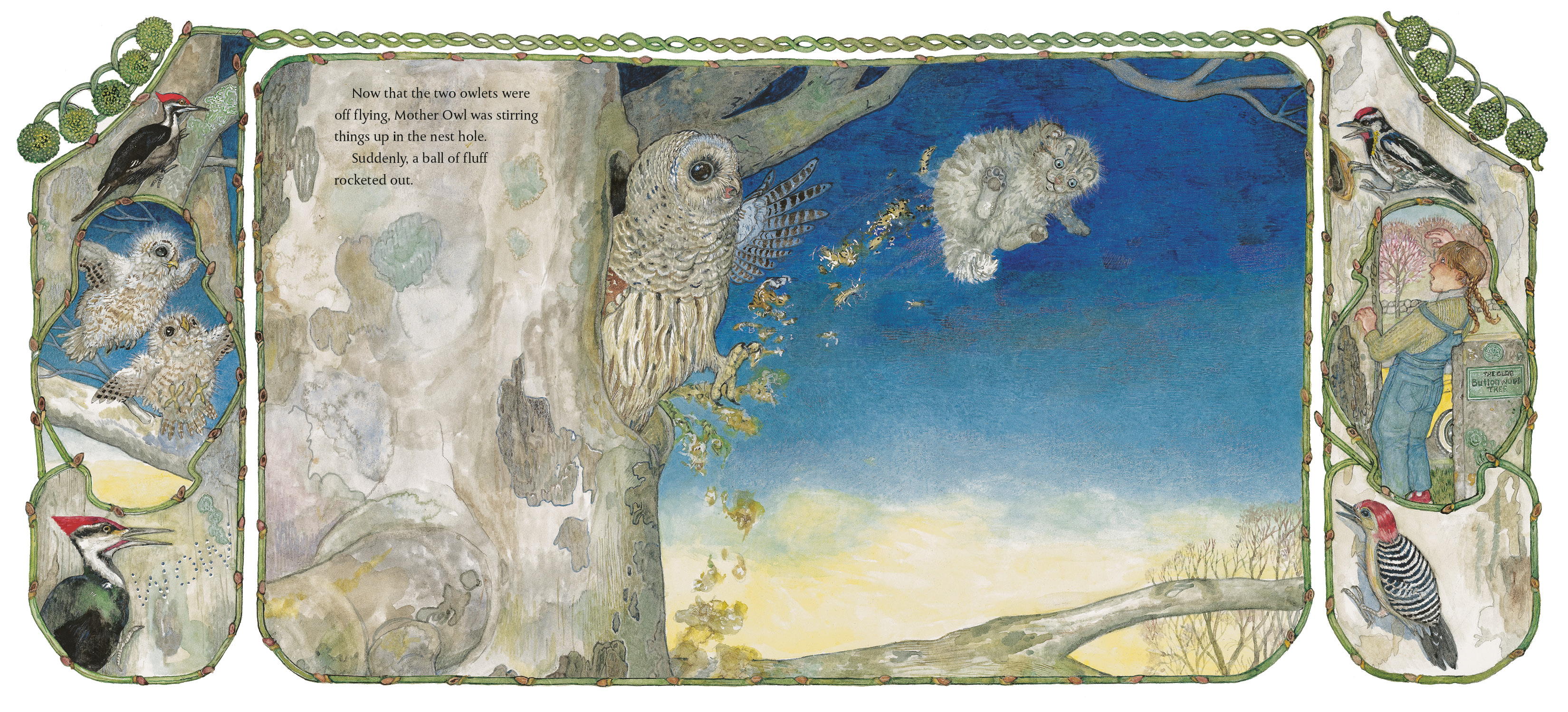 additional book photo