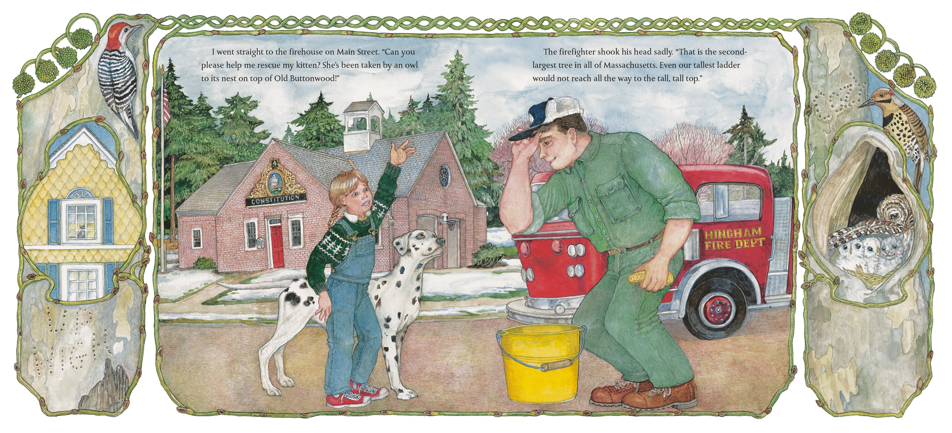 additional book photo