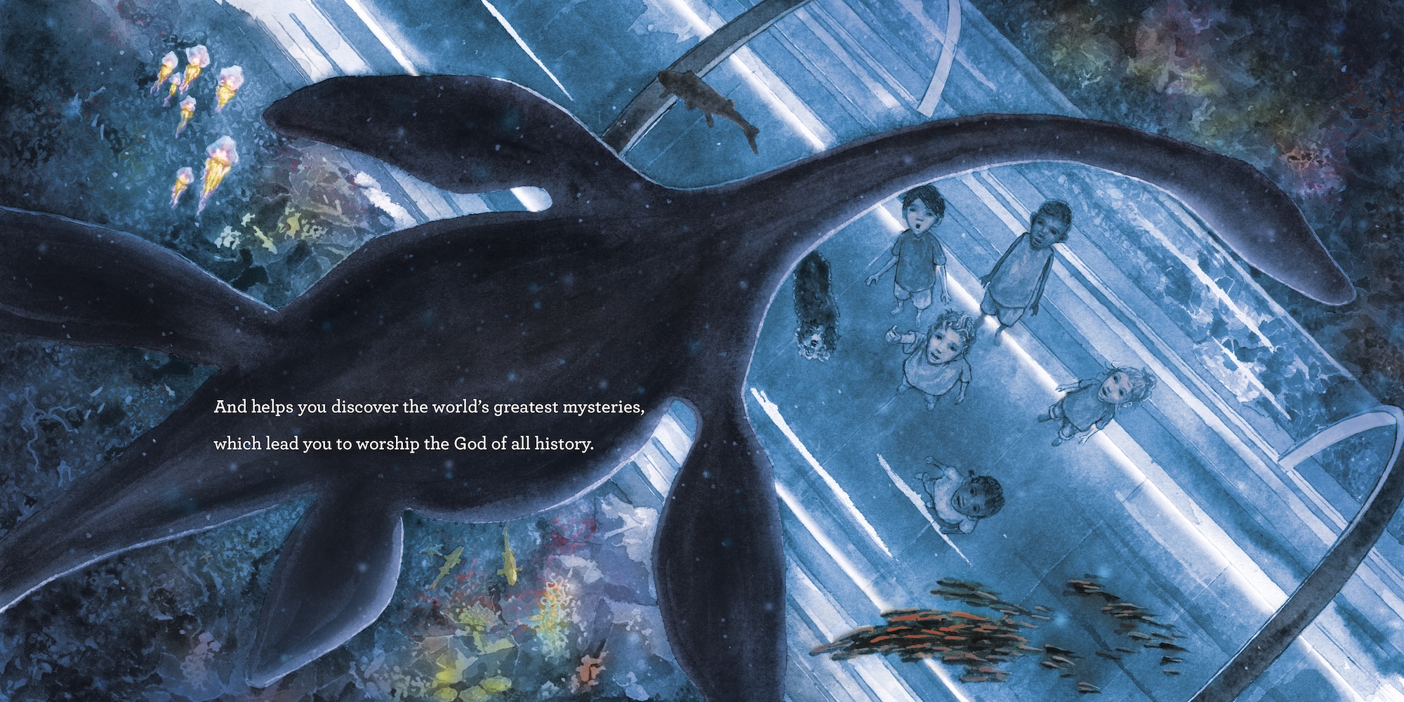 additional book photo