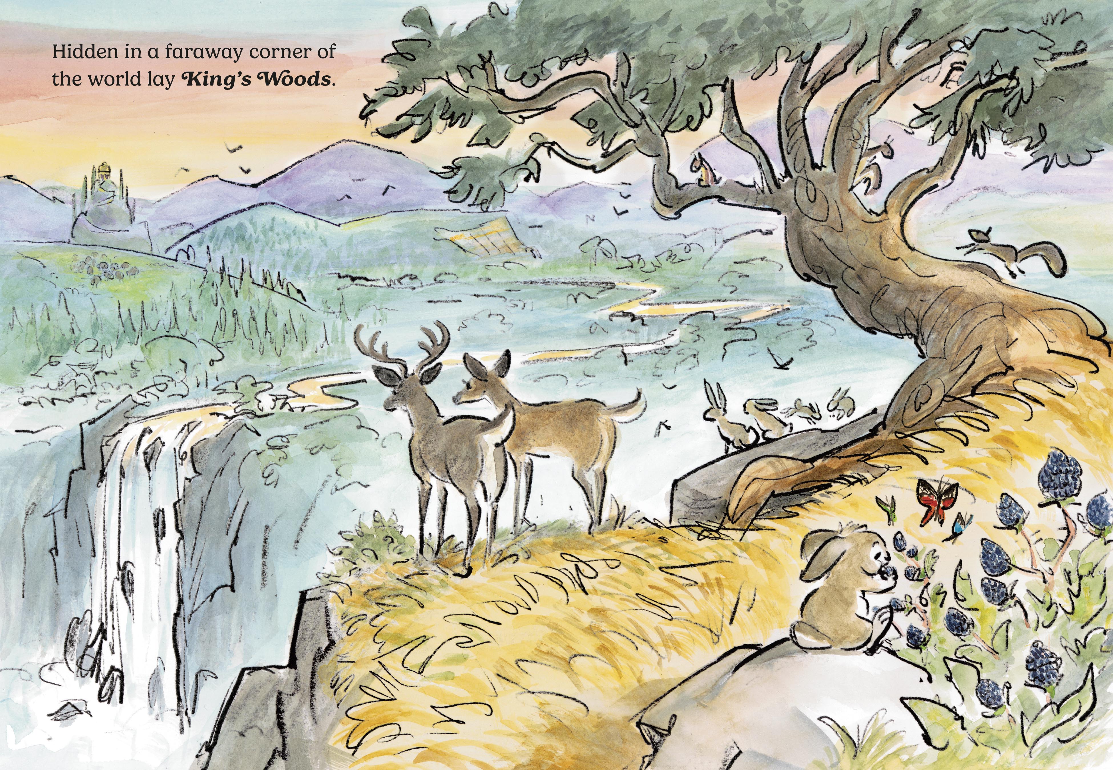 additional book photo
