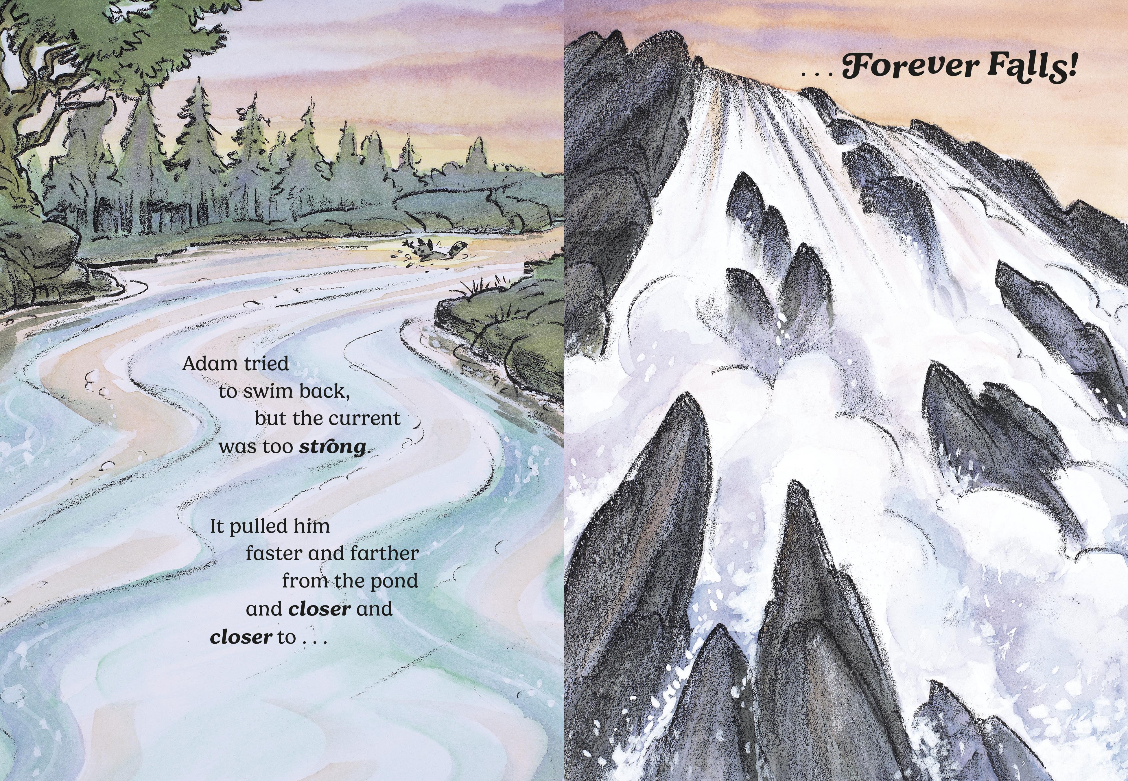 additional book photo