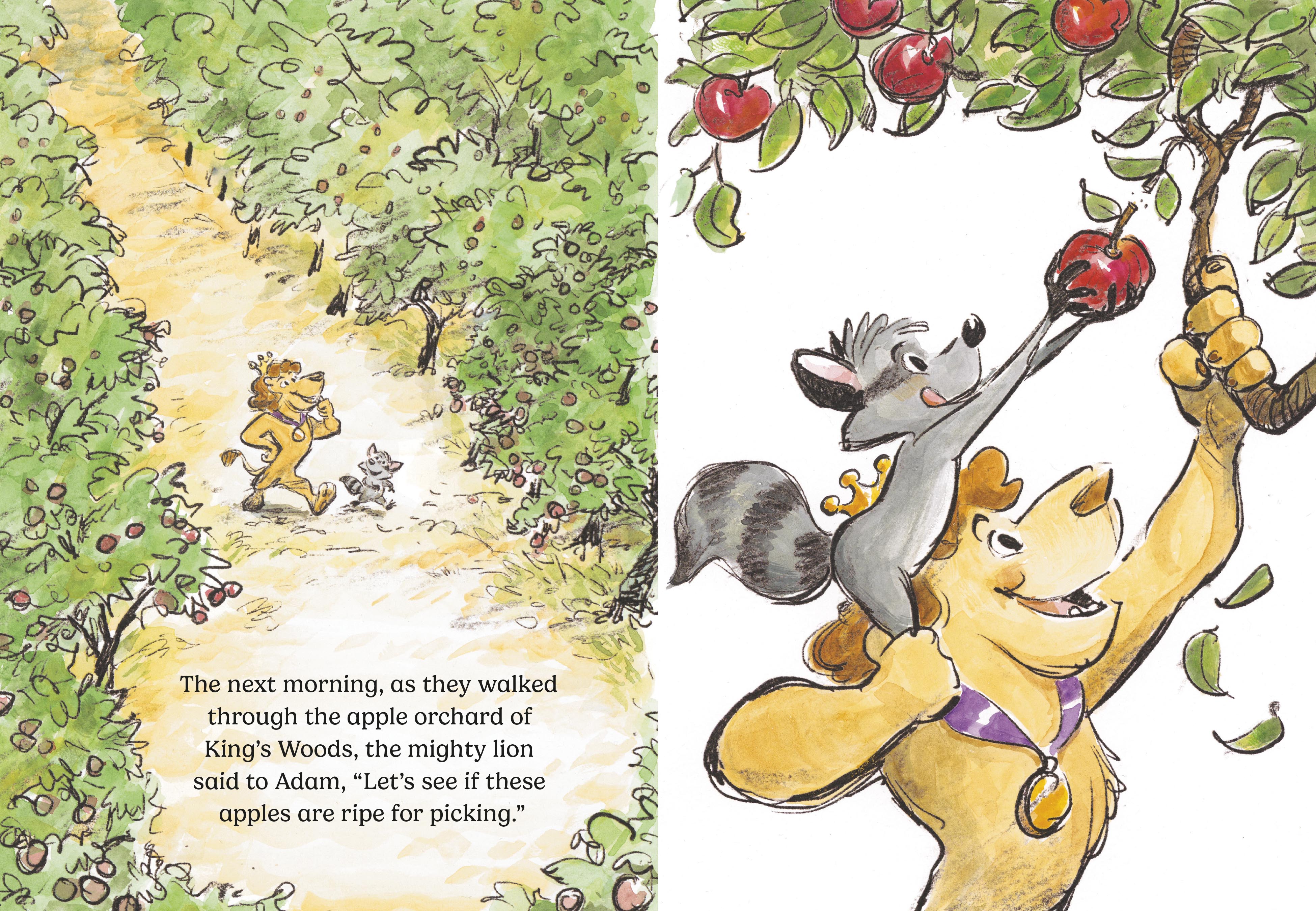additional book photo