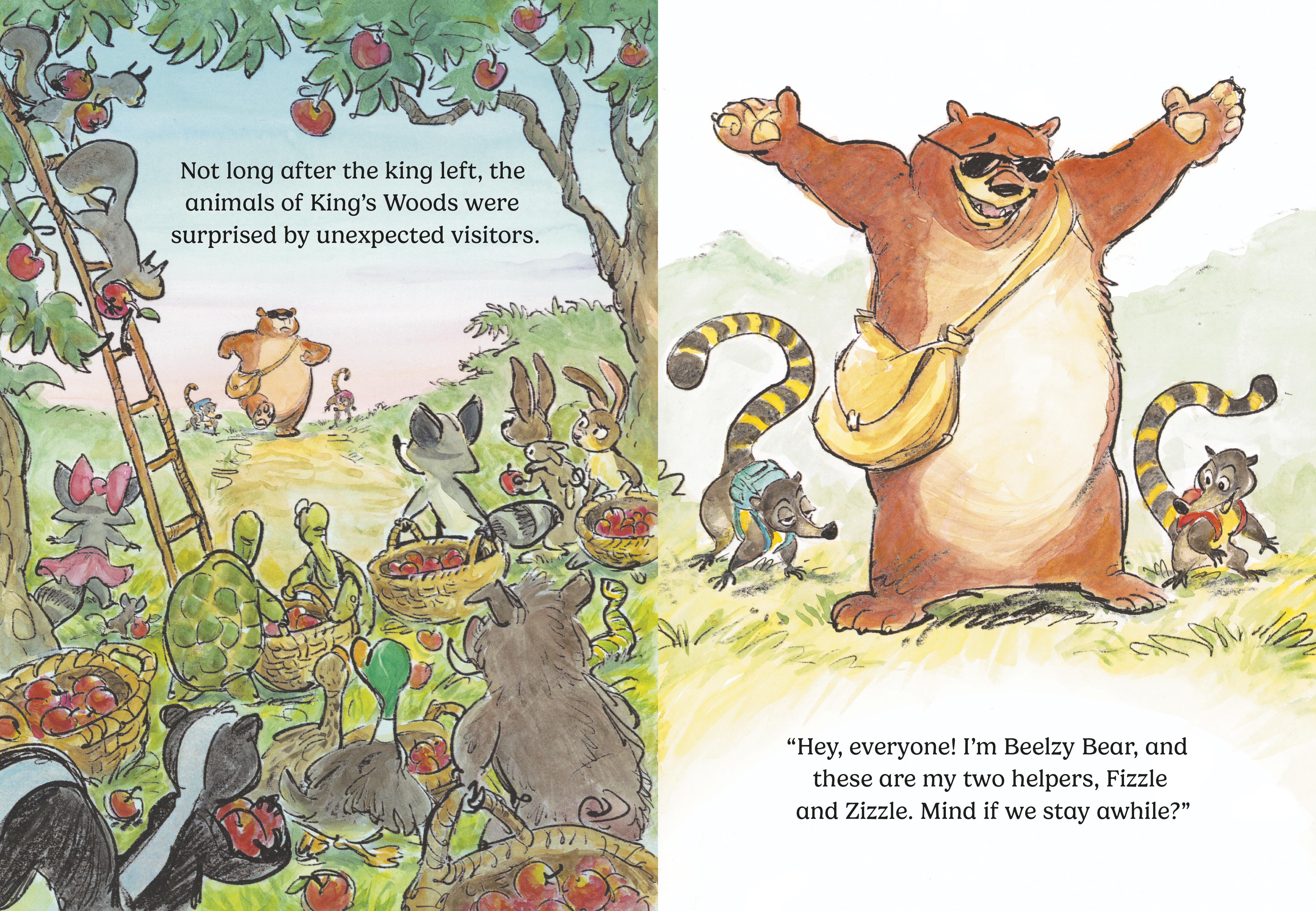 additional book photo